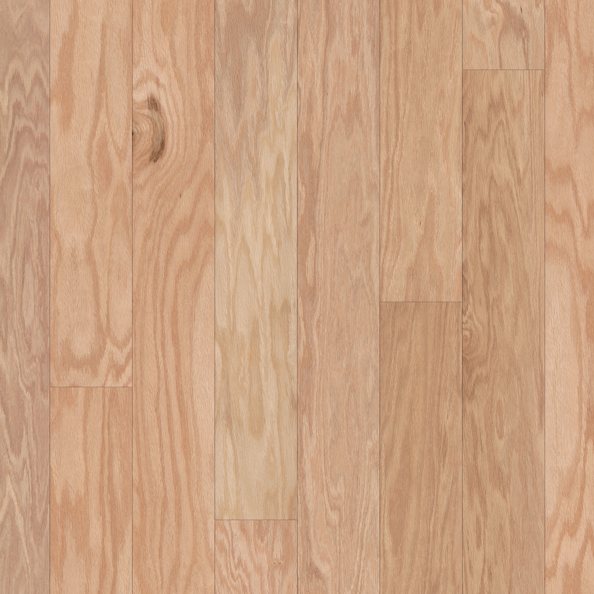TIMELESS OAK 5" NATURAL MAIN
