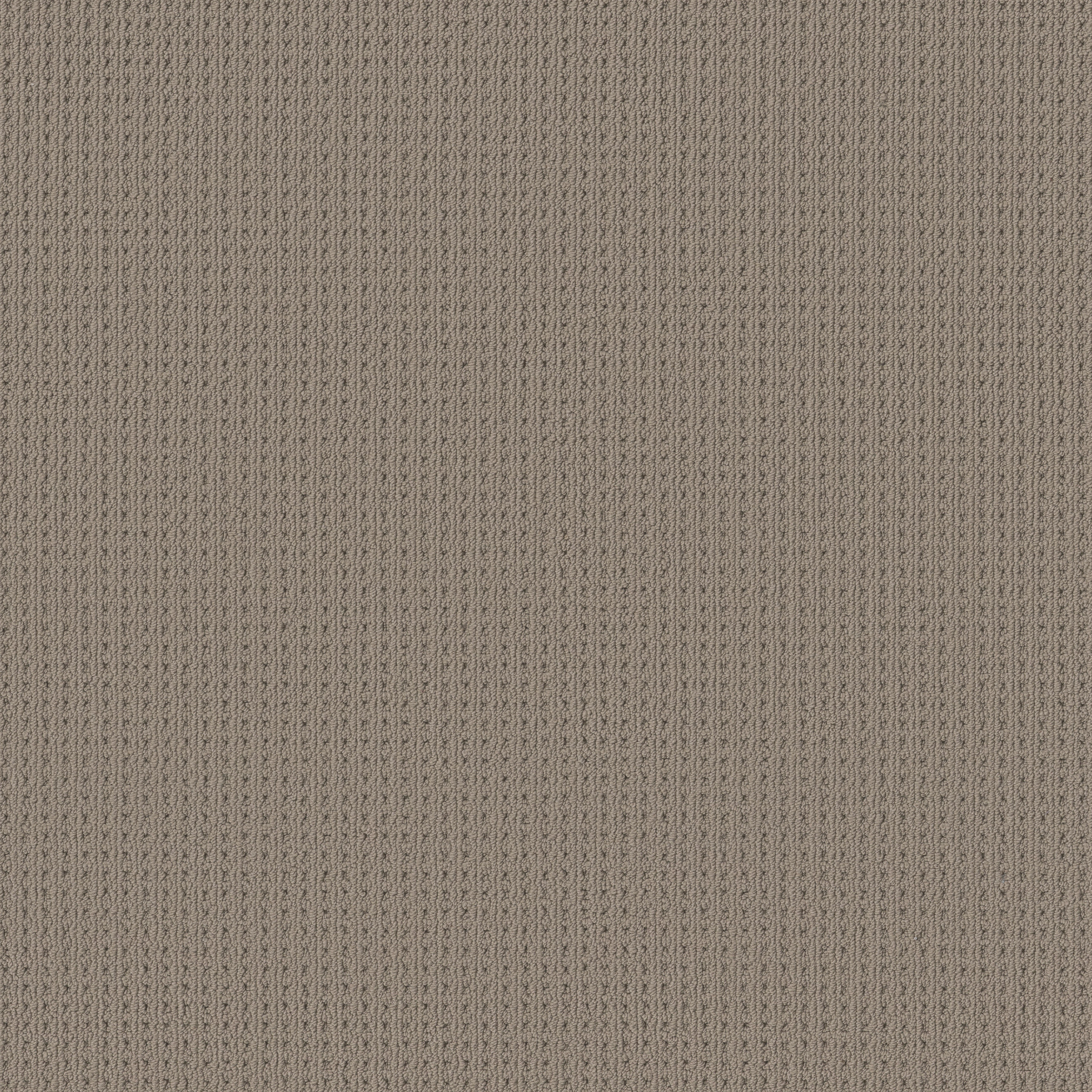 SAN LUCAS PAVESTONE MAIN