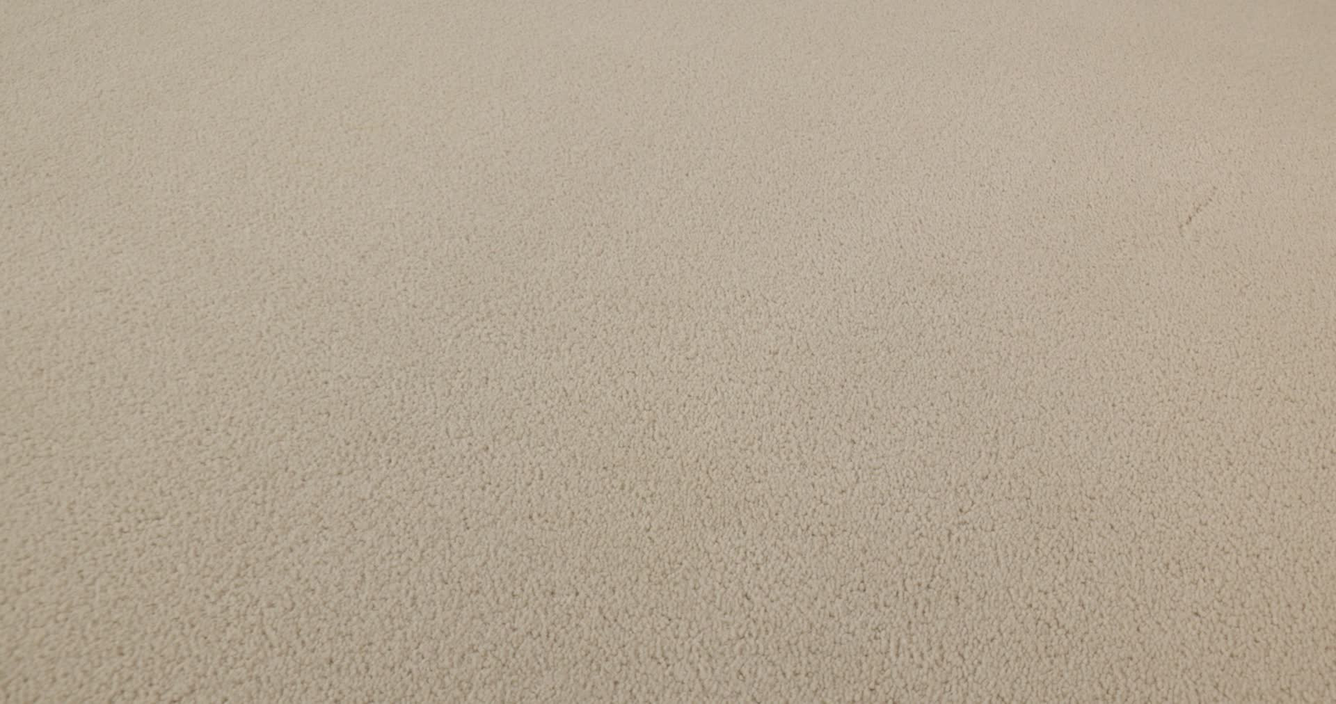 PERFECT CHOICE WINDSWEPT 360PROD