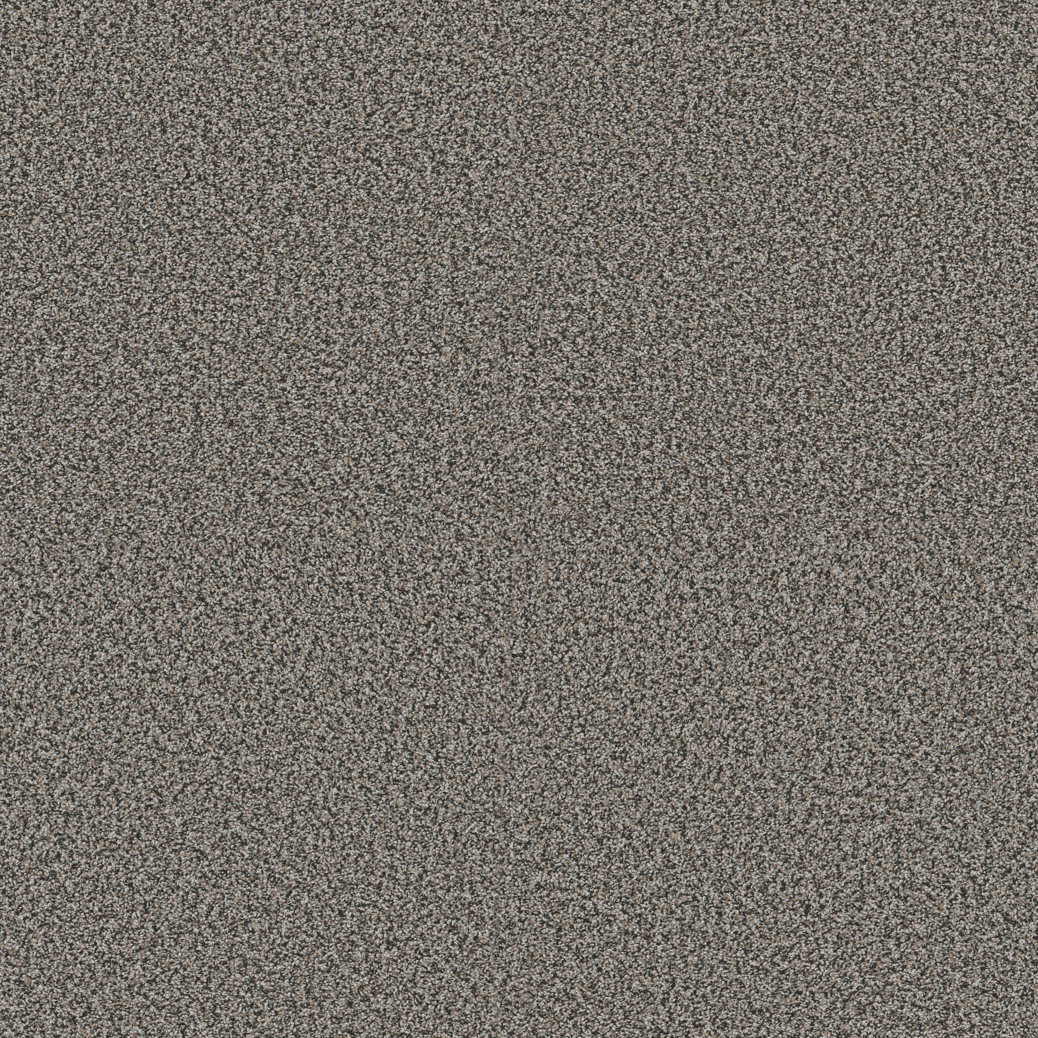 Renewed Energy I SHADOW MAIN