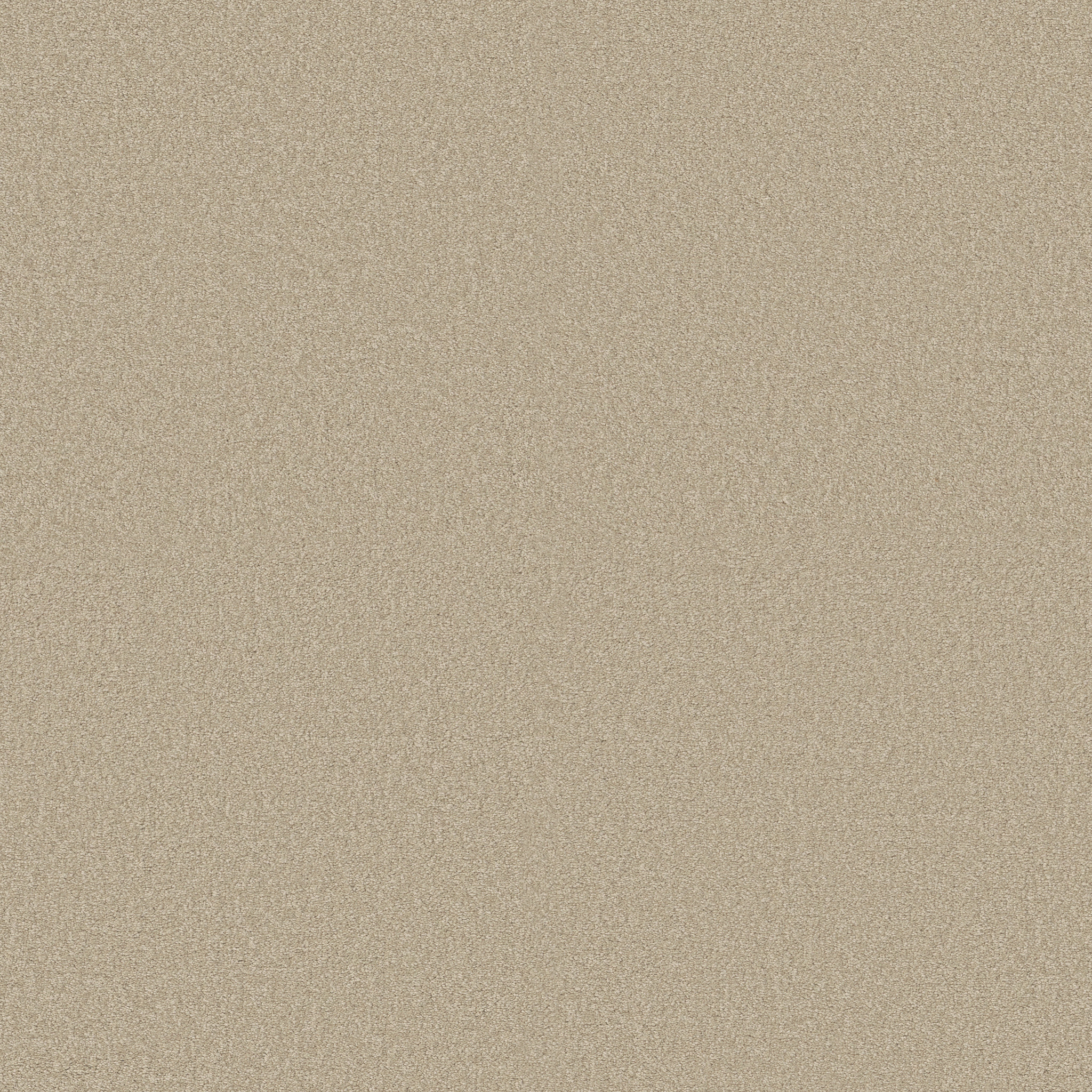 SHINGLE CREEK IV 15' OATMEAL MAIN