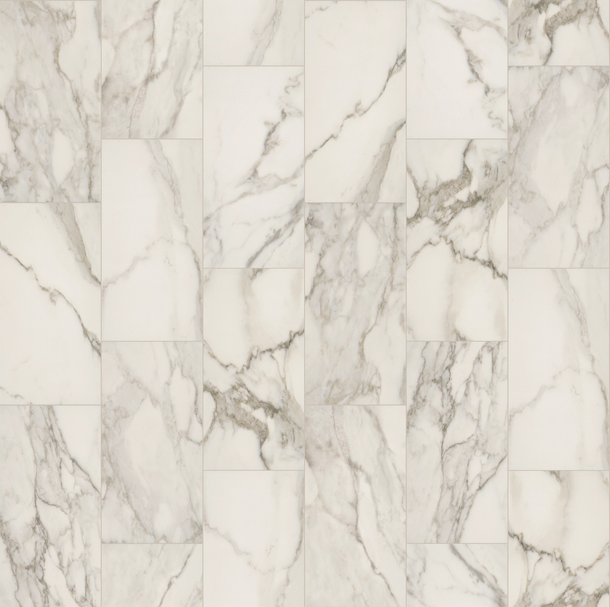 ENCLAVE 12X24 HALO CALACATTA MAIN