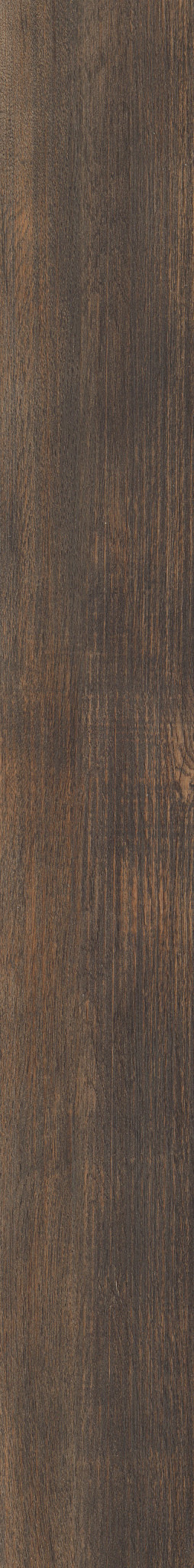 Thicket, the manufacturer's video