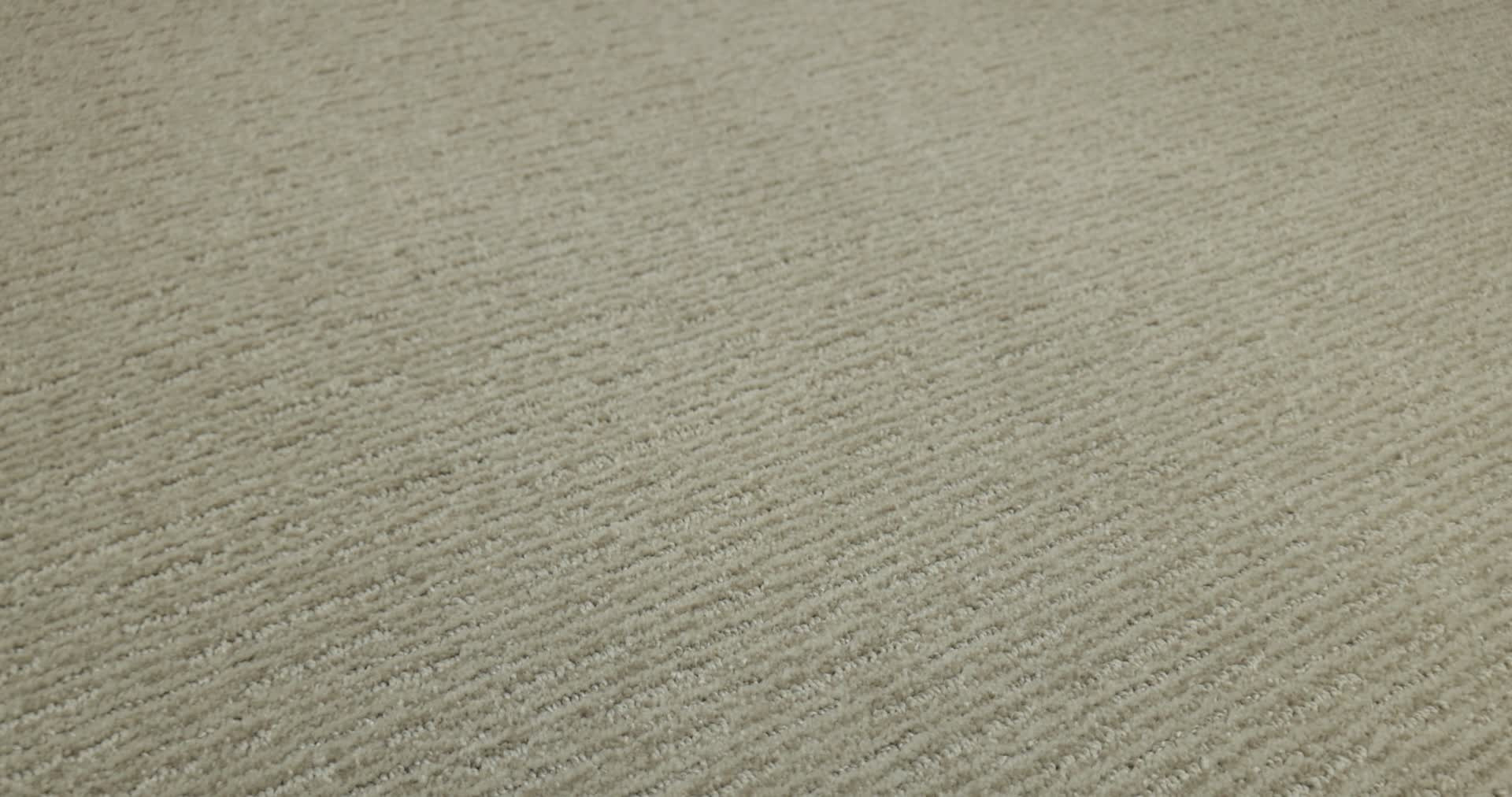 INSIGHTFUL WAY PARK AVENUE 360PROD