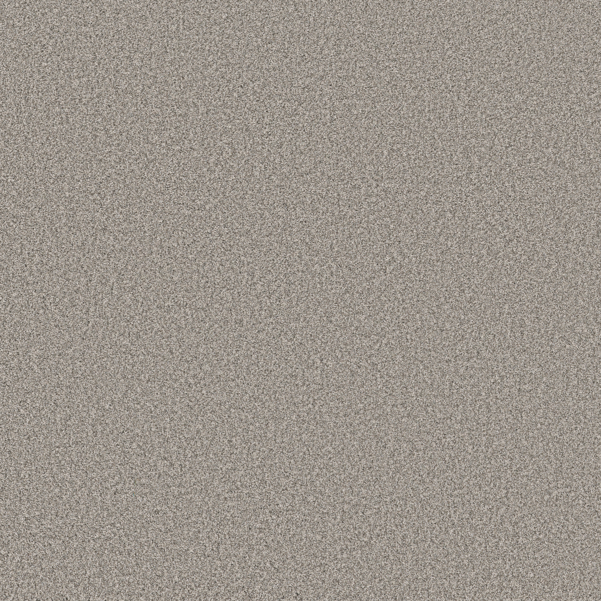 FABULOUS MOTH GRAY MAIN