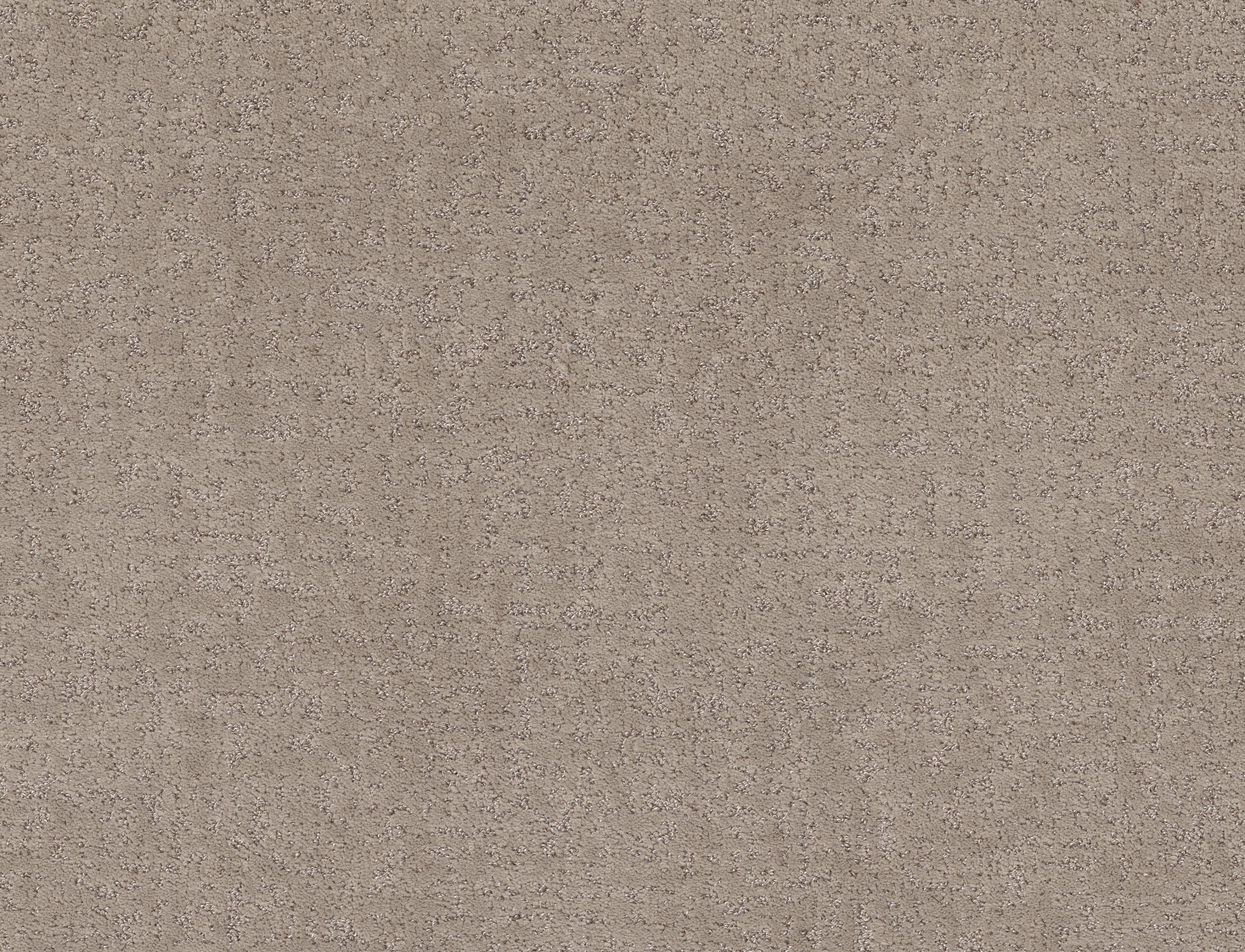 HOME WITHIN CHIC GREIGE MAIN