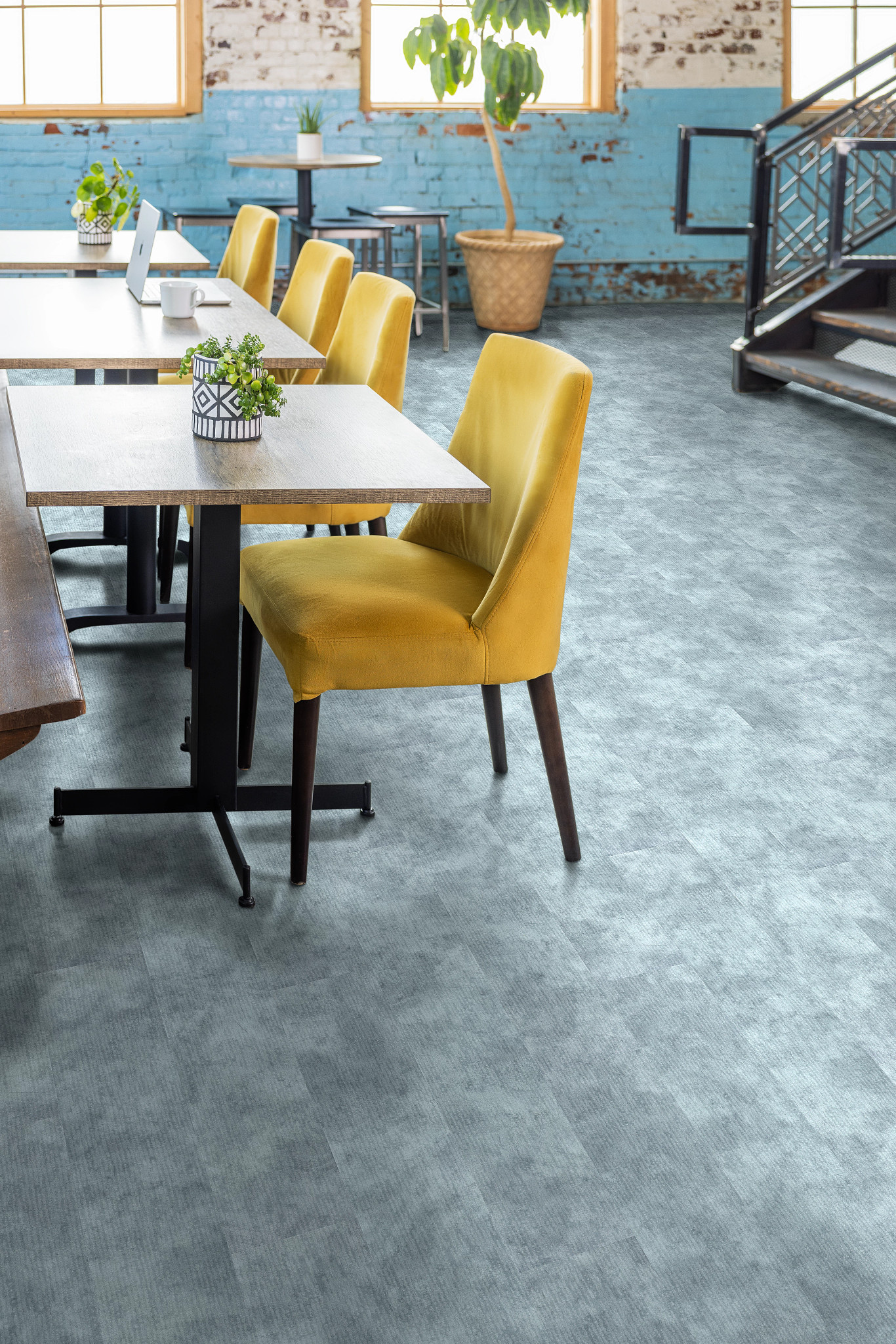 CODEX-5609V-MYSTICAL-00496-room-image