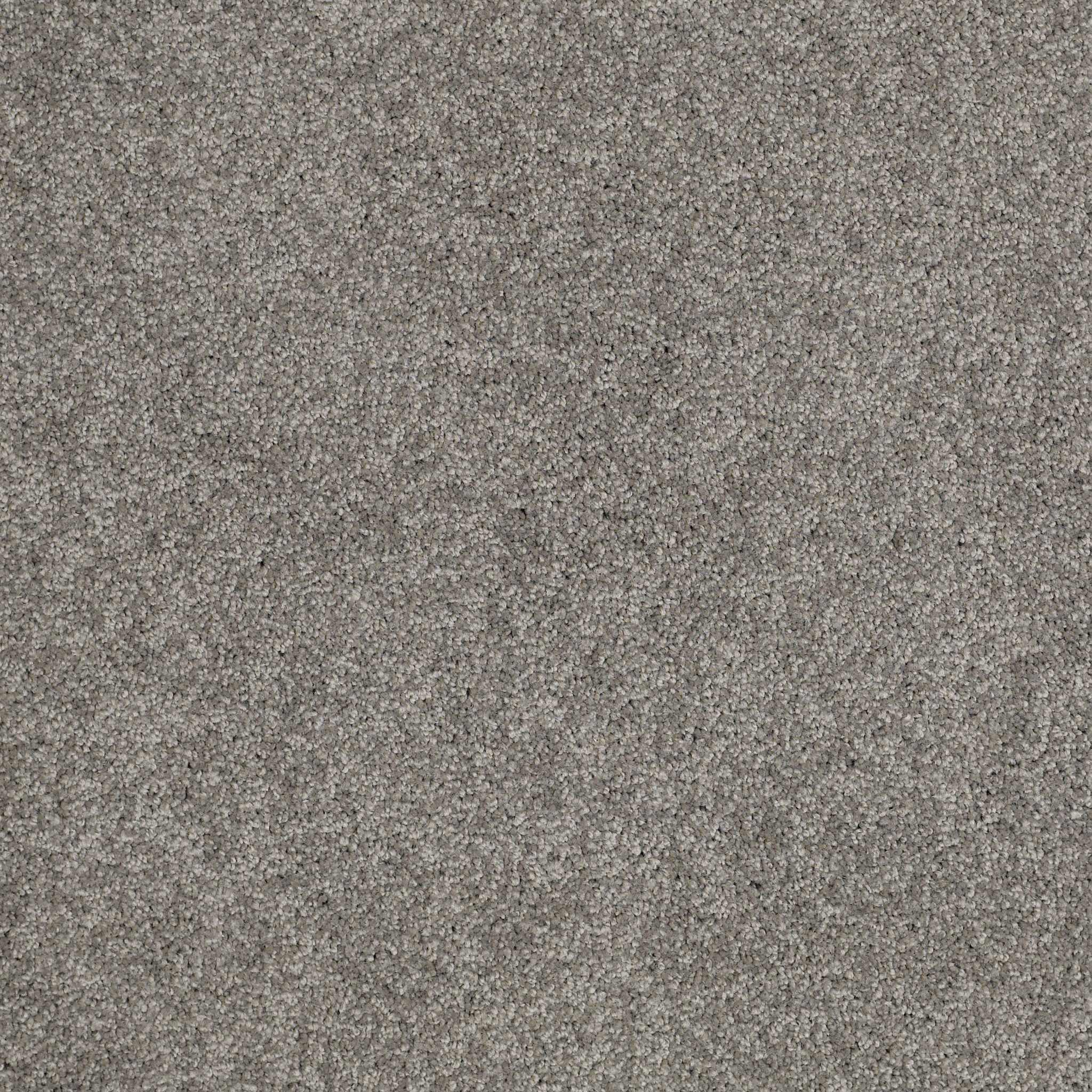 HARLEY STREET I TITANIUM MAIN