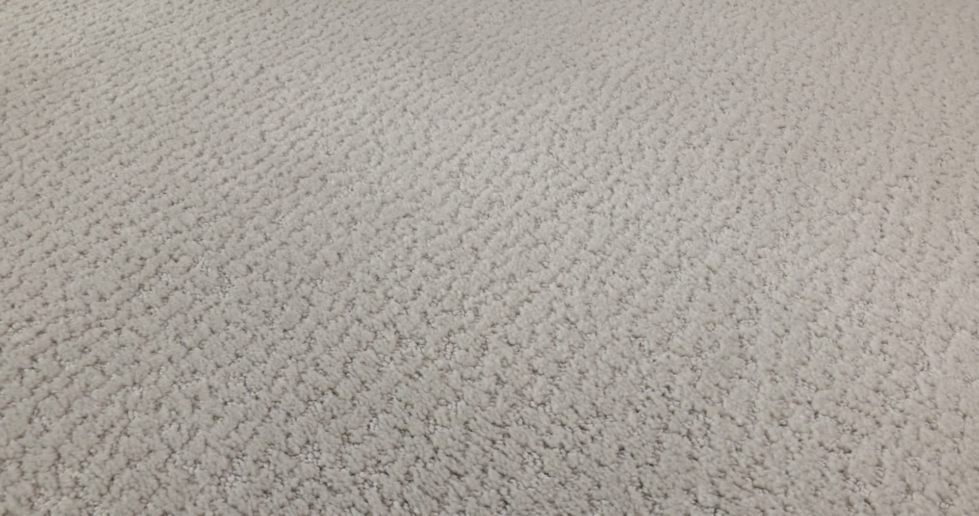 STUDIO SET FOREST FOG 360PROD