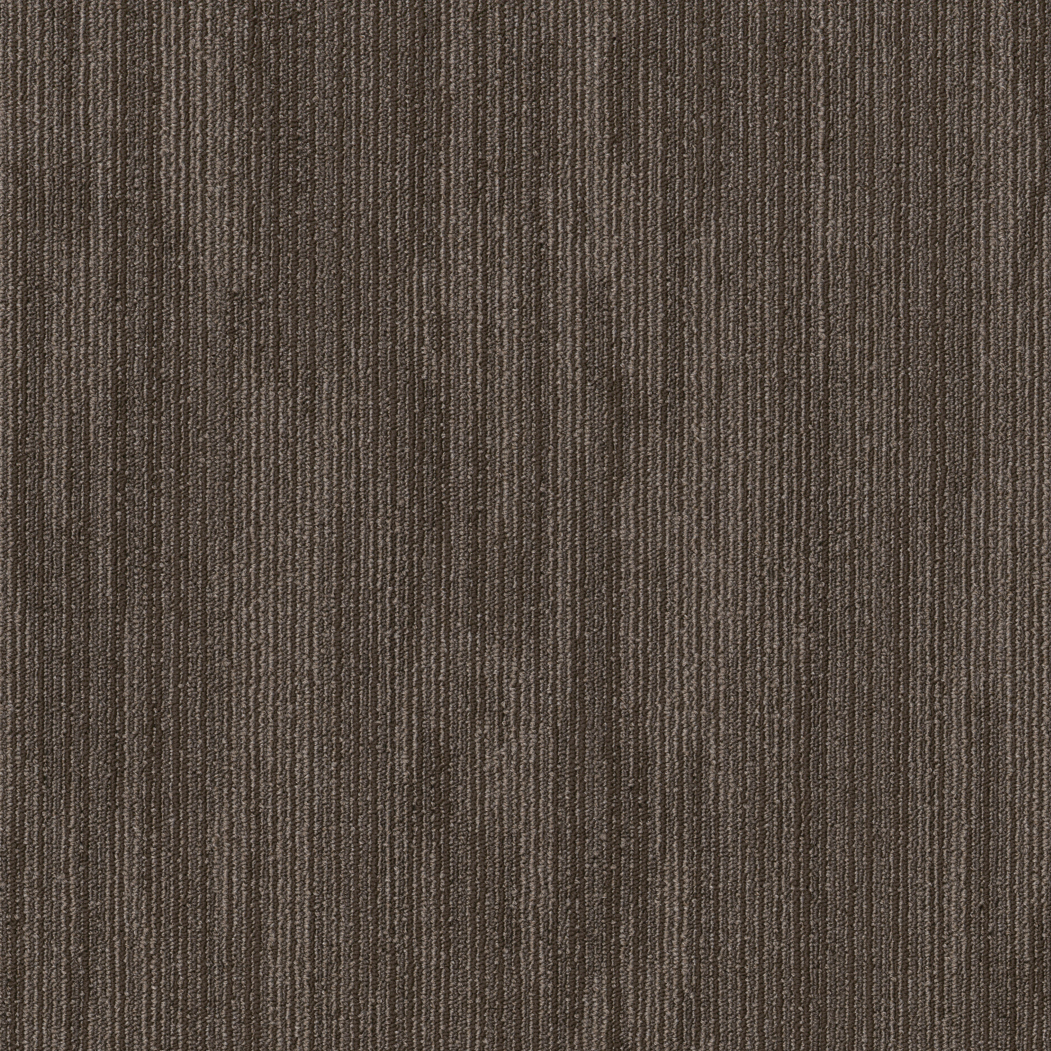 PRIMAL-54964-INDIGENOUS-00200-main-image