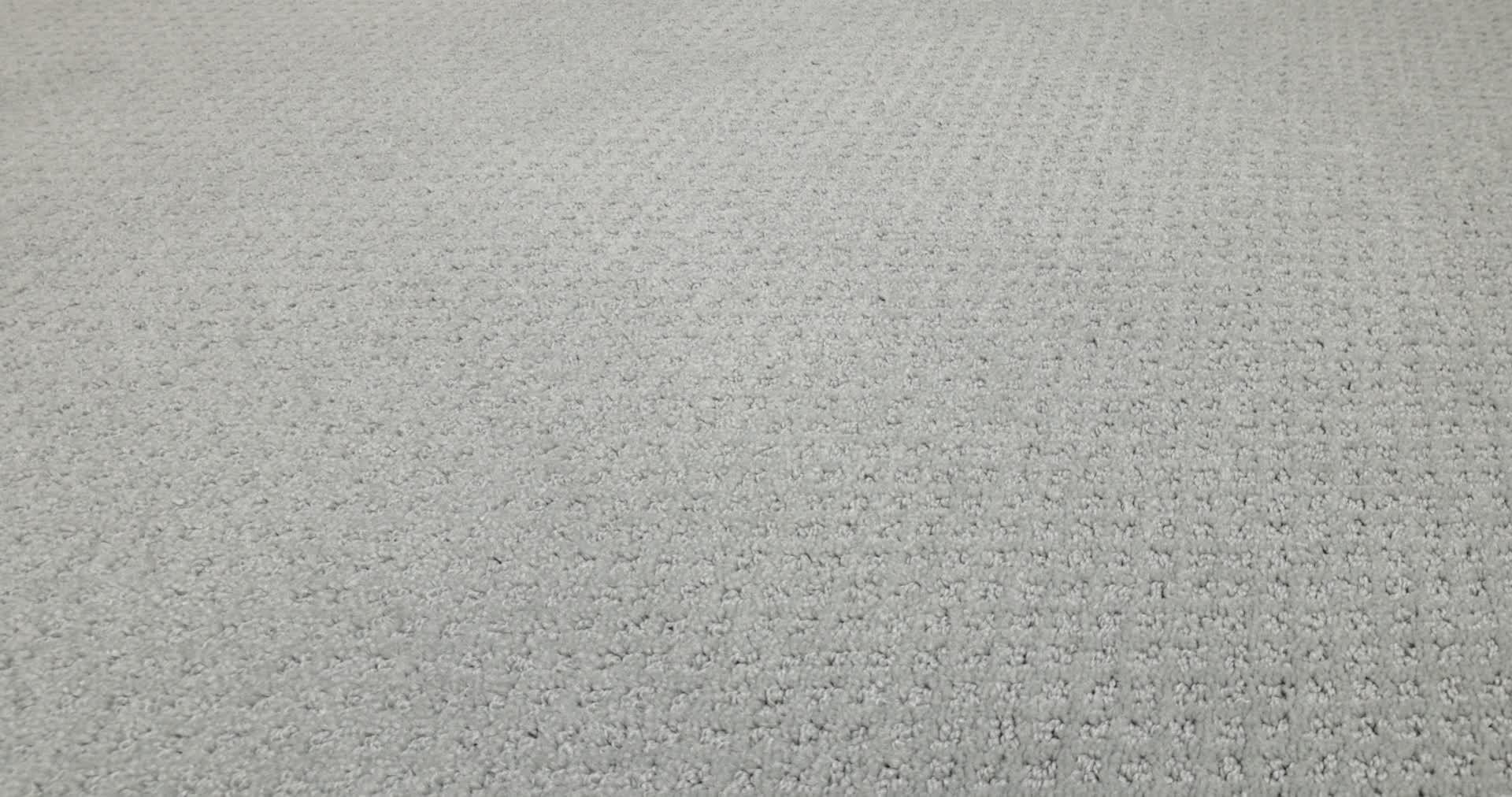 MAINSTAY GREY FOX 360PROD