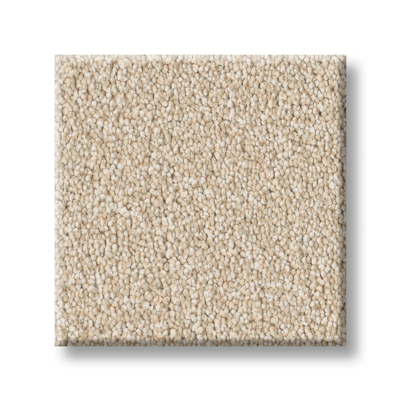 CLASSIC TONE SAFARI SWATCH