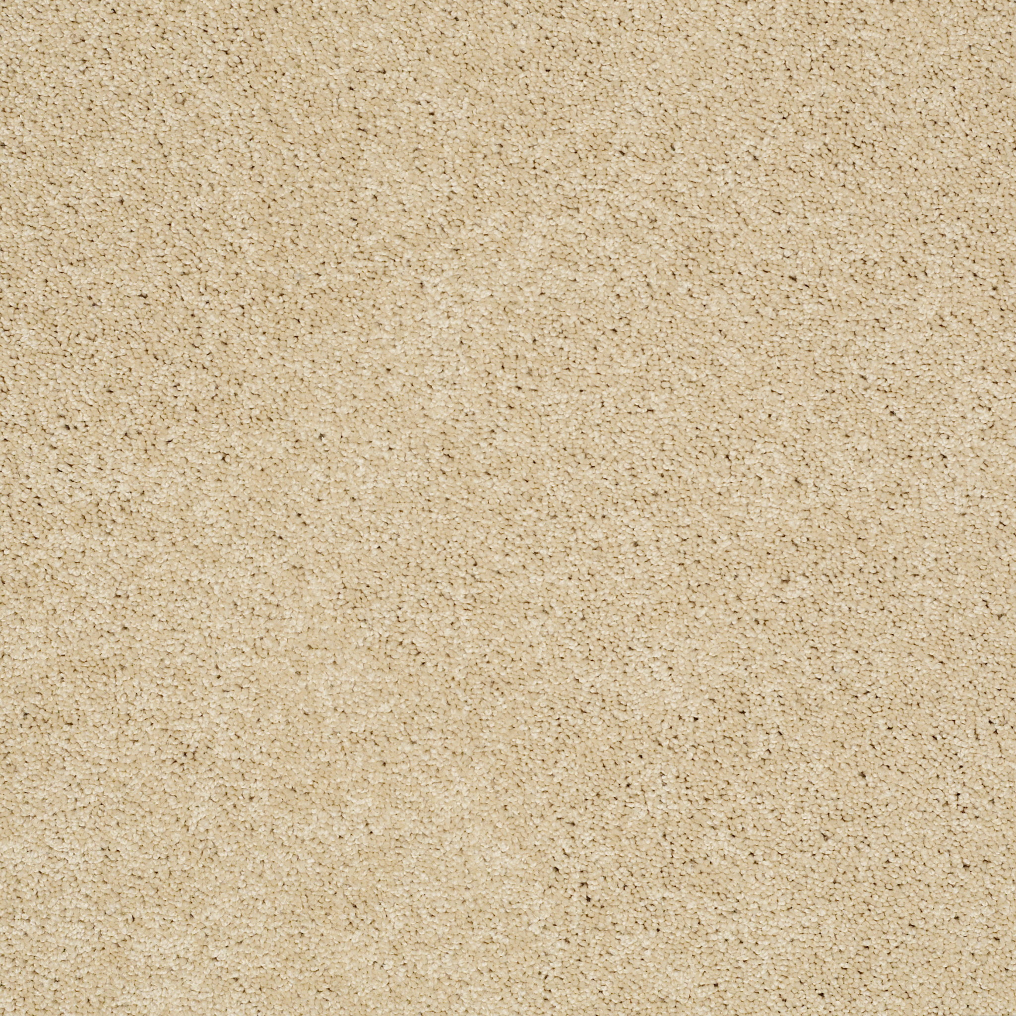 LOYAL BEAUTY II EA163 - Chamois | Carpets
