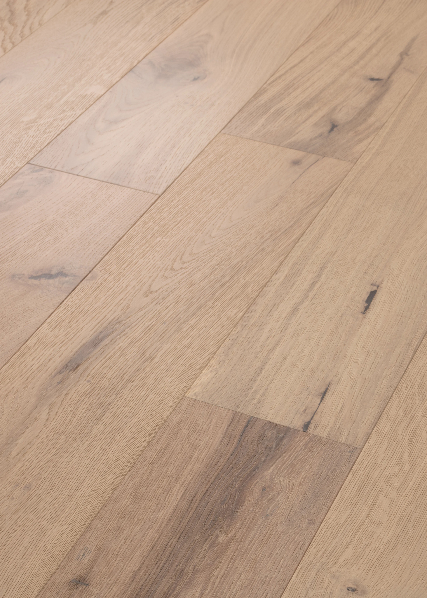 CASTLEWOOD OAK RENAISSANCE ANGLED