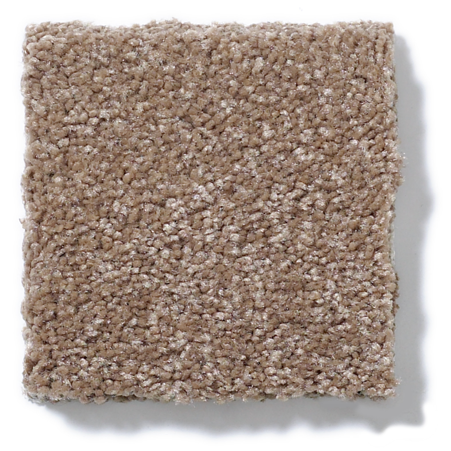 BEAUTIFULLY SIMPLE ACORN SWATCH