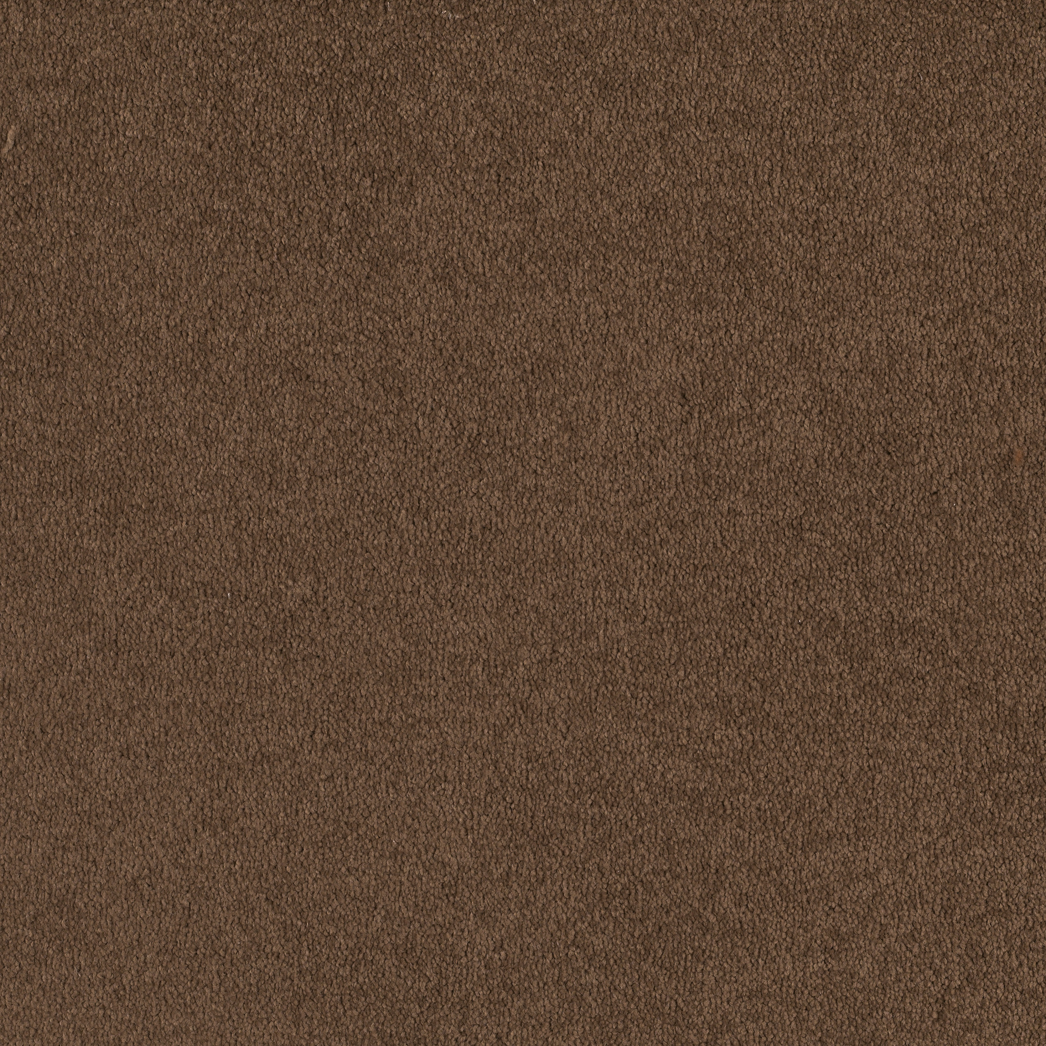 TIMELESS APPEAL III 12' PINE CONE MAIN