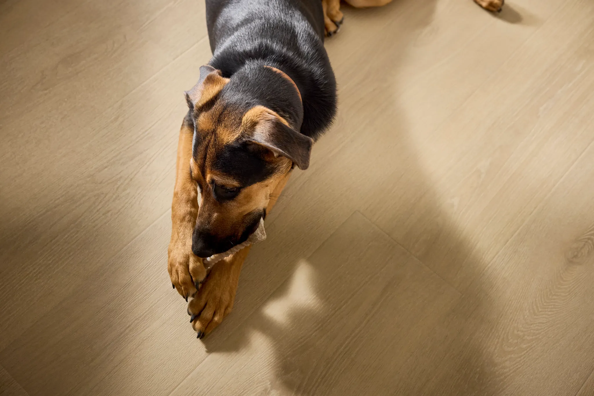 Entryway with light brown manufactured SPC flooring, featuring dimensions of 48.03x7.08 inches
