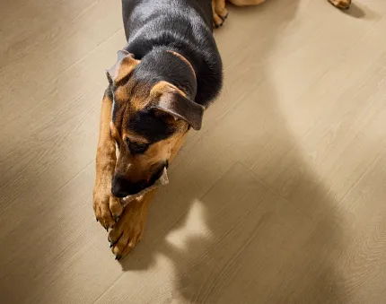 Light Brown SPC Flooring in Entryway - 48.03x7.08 inches Entryway with light brown manufactured SPC flooring, featuring dimensions of 48.03x7.08 inches