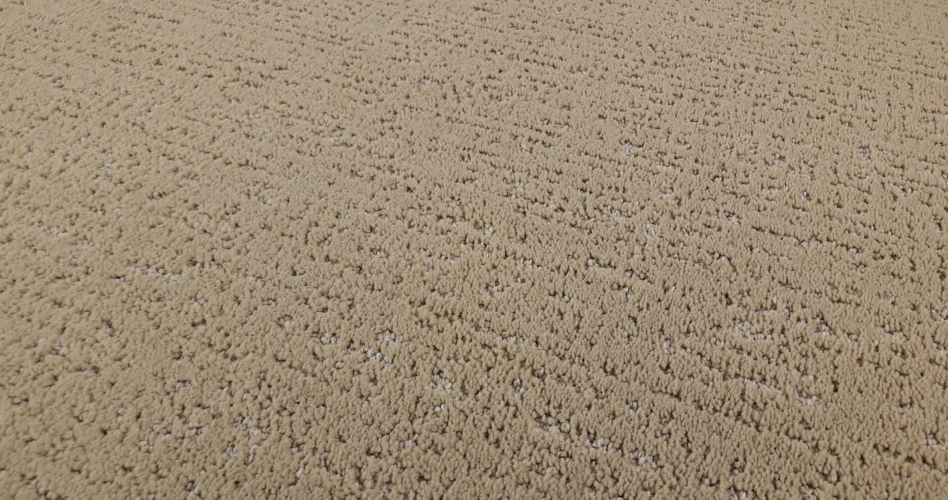 CURATED TONE MIRAGE 360PROD