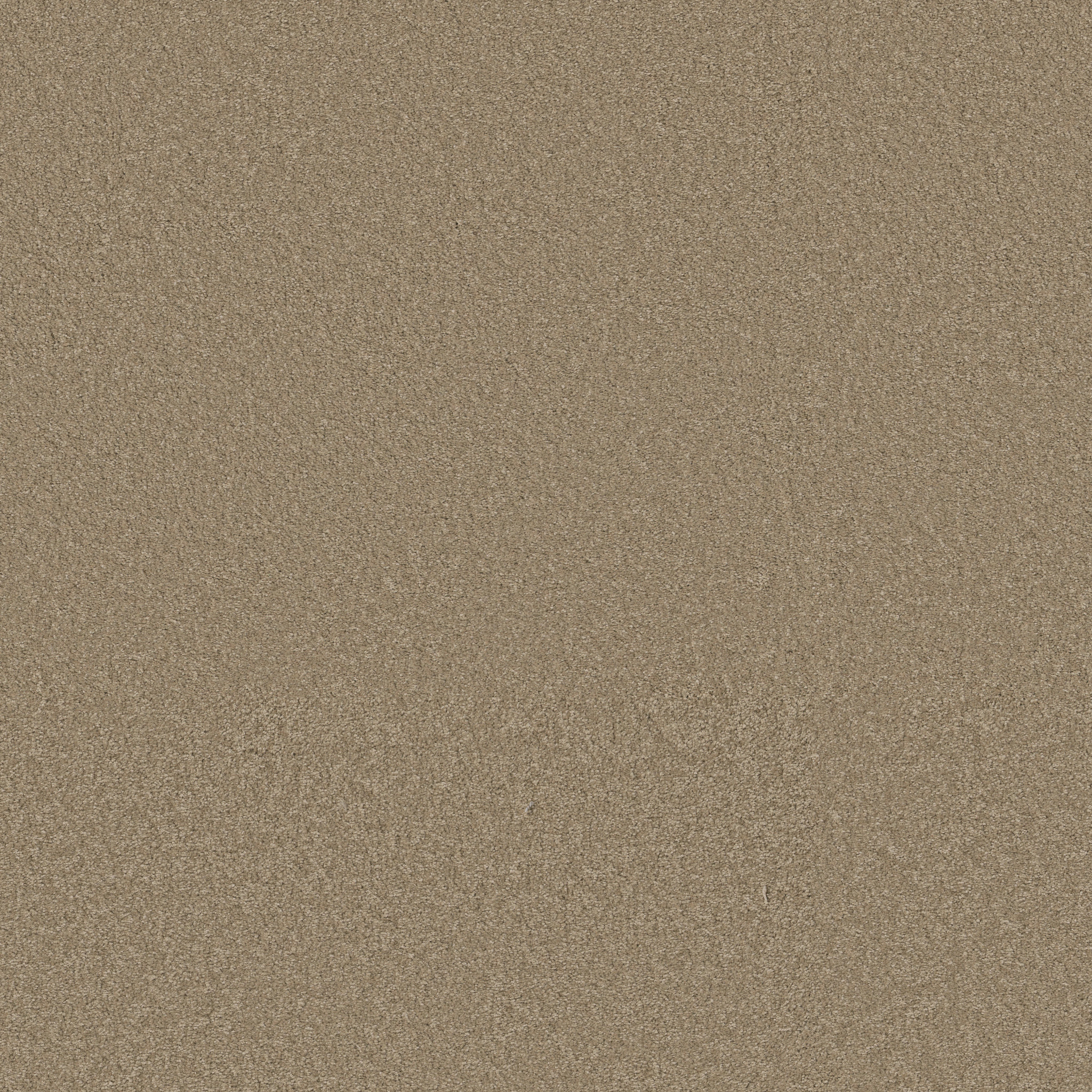 WAY TO GO III HIDDEN TREASURE MAIN