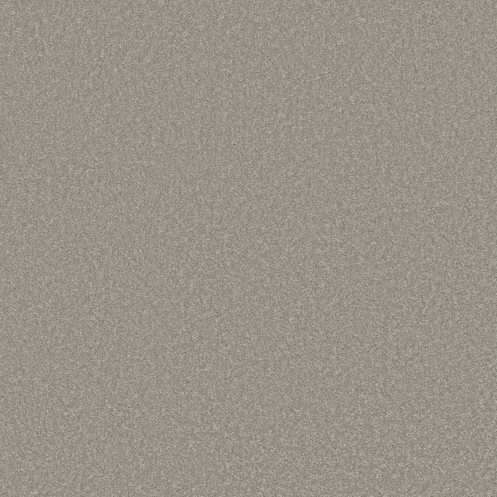 WAY TO GO I TAUPE TONE MAIN