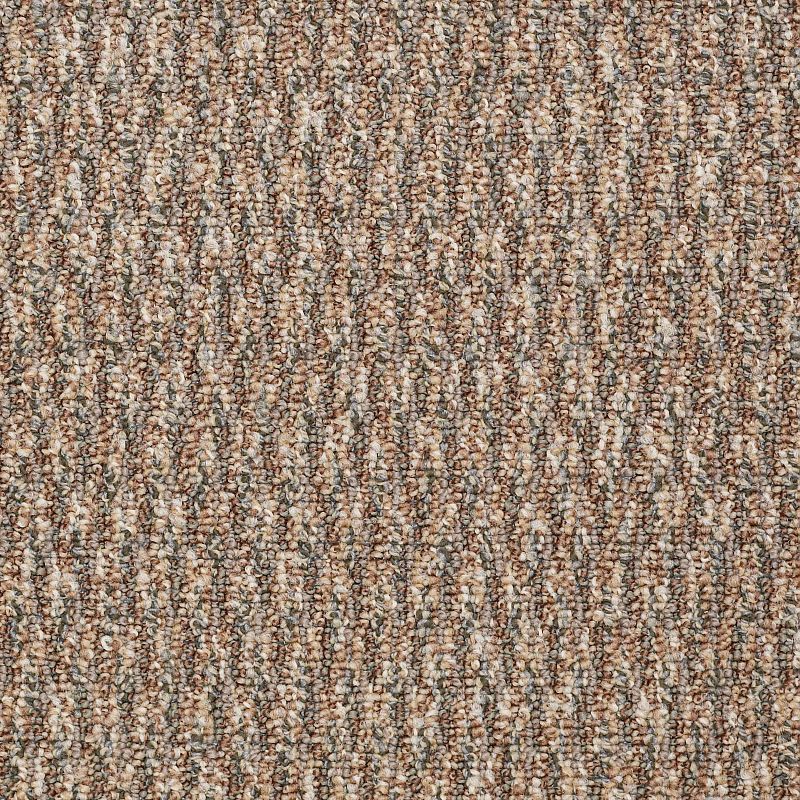 Speak Freely 54446 Broadloom Carpet in vibrant colors, 12 ft width, 100% nylon material