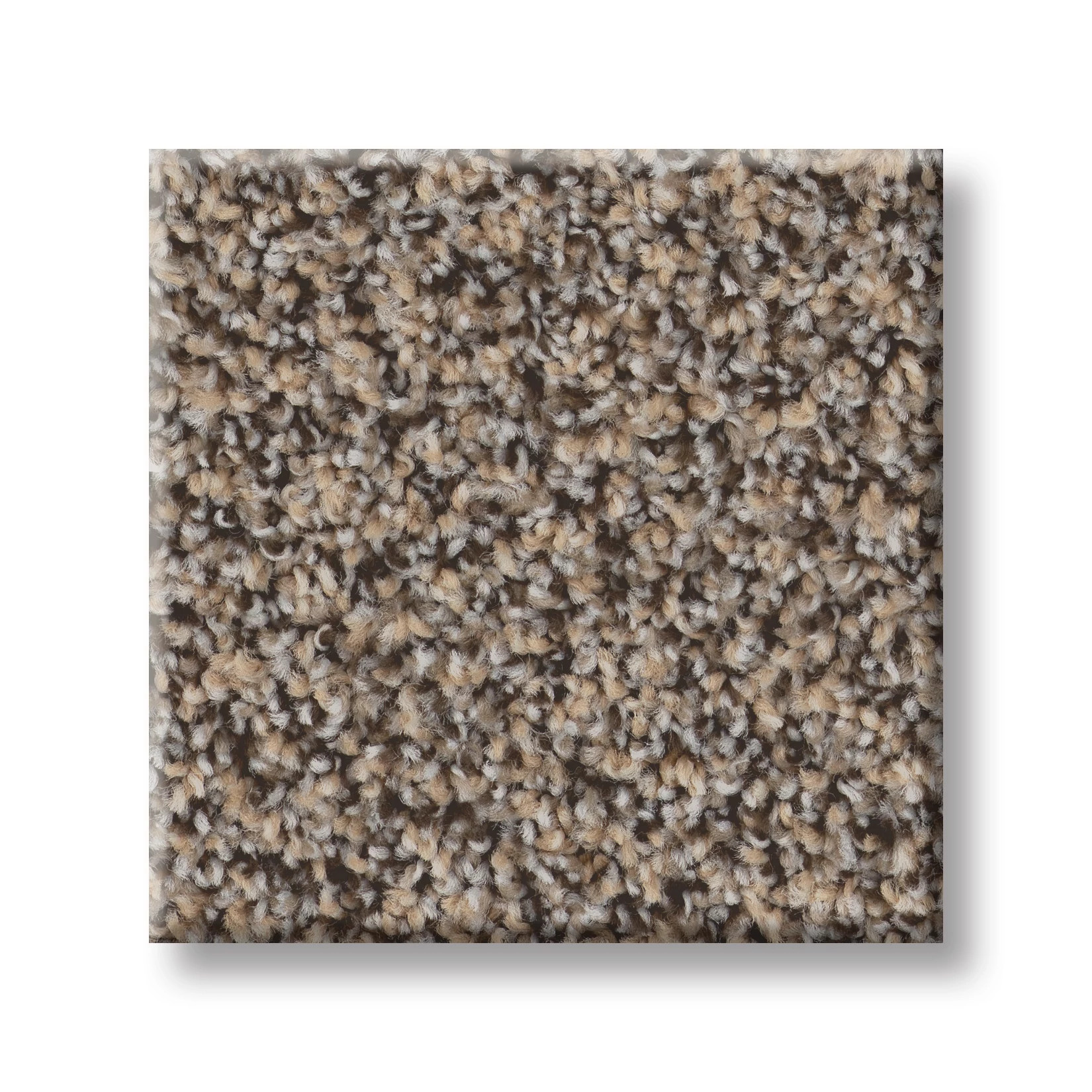 RAMPED UP BEACHSIDE SWATCH