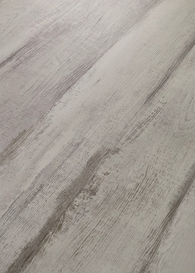 Fresh Driftwood