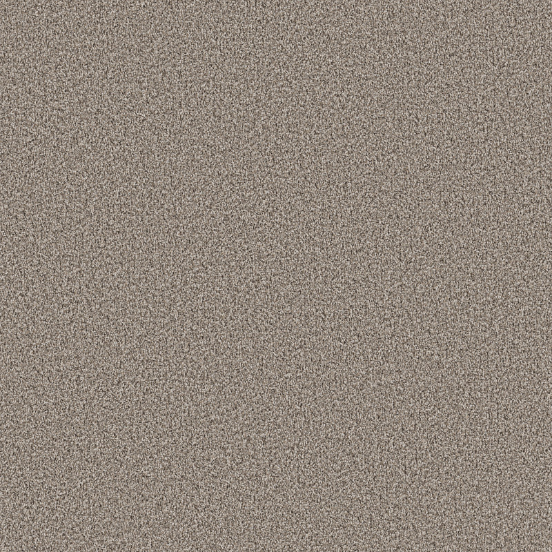 RAMPED UP in Natural Stone by Shaw Floors