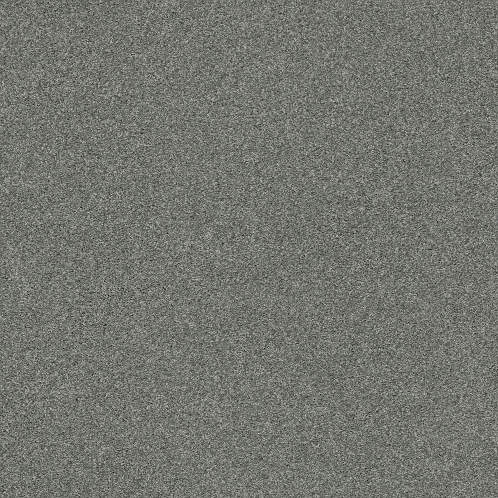 COZY HARBOR I WATERS EDGE MAIN