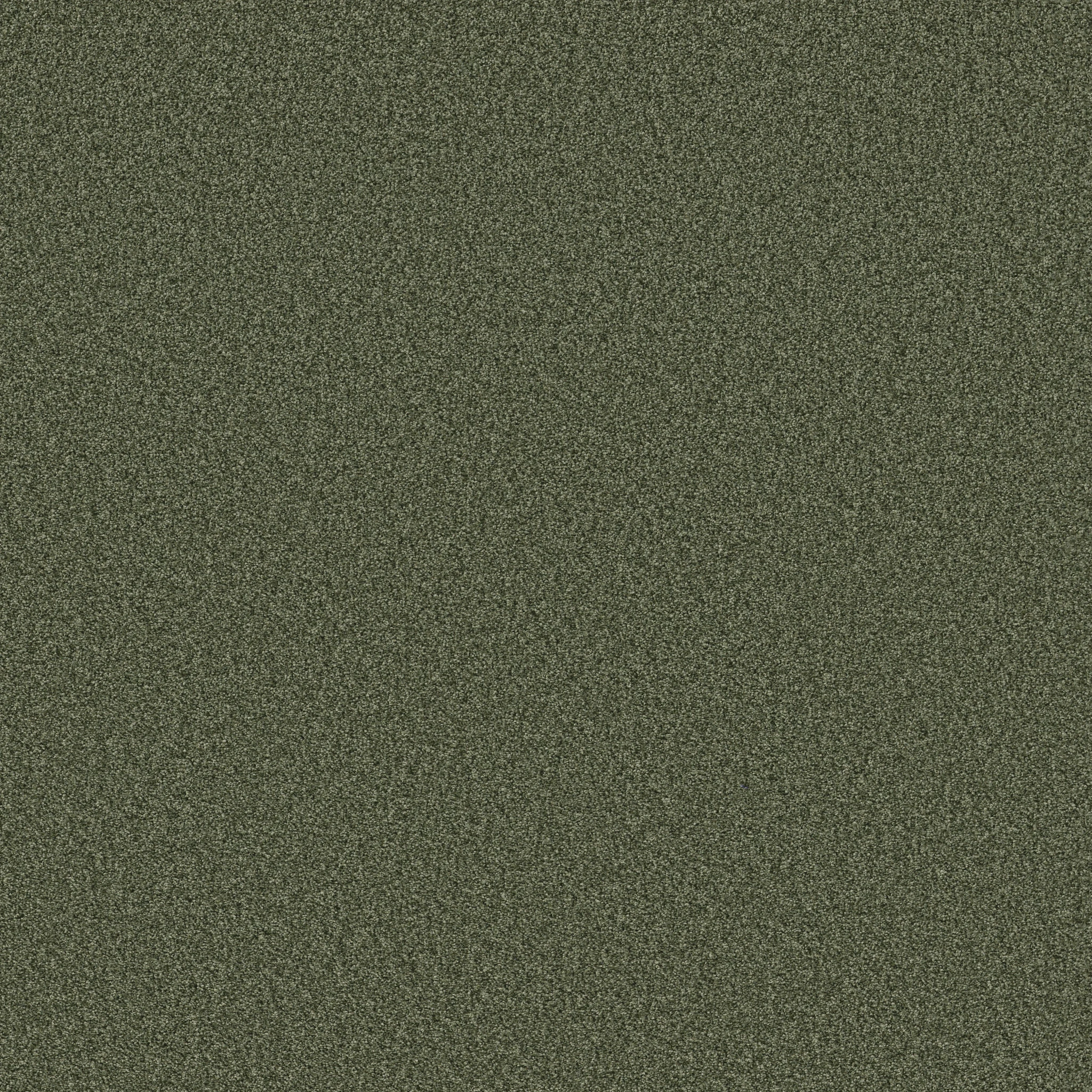 converted-bold-moves-elevate-your-space-with-tonal-comfort-blue-carpet-enhanced-by-lifeguard-technology