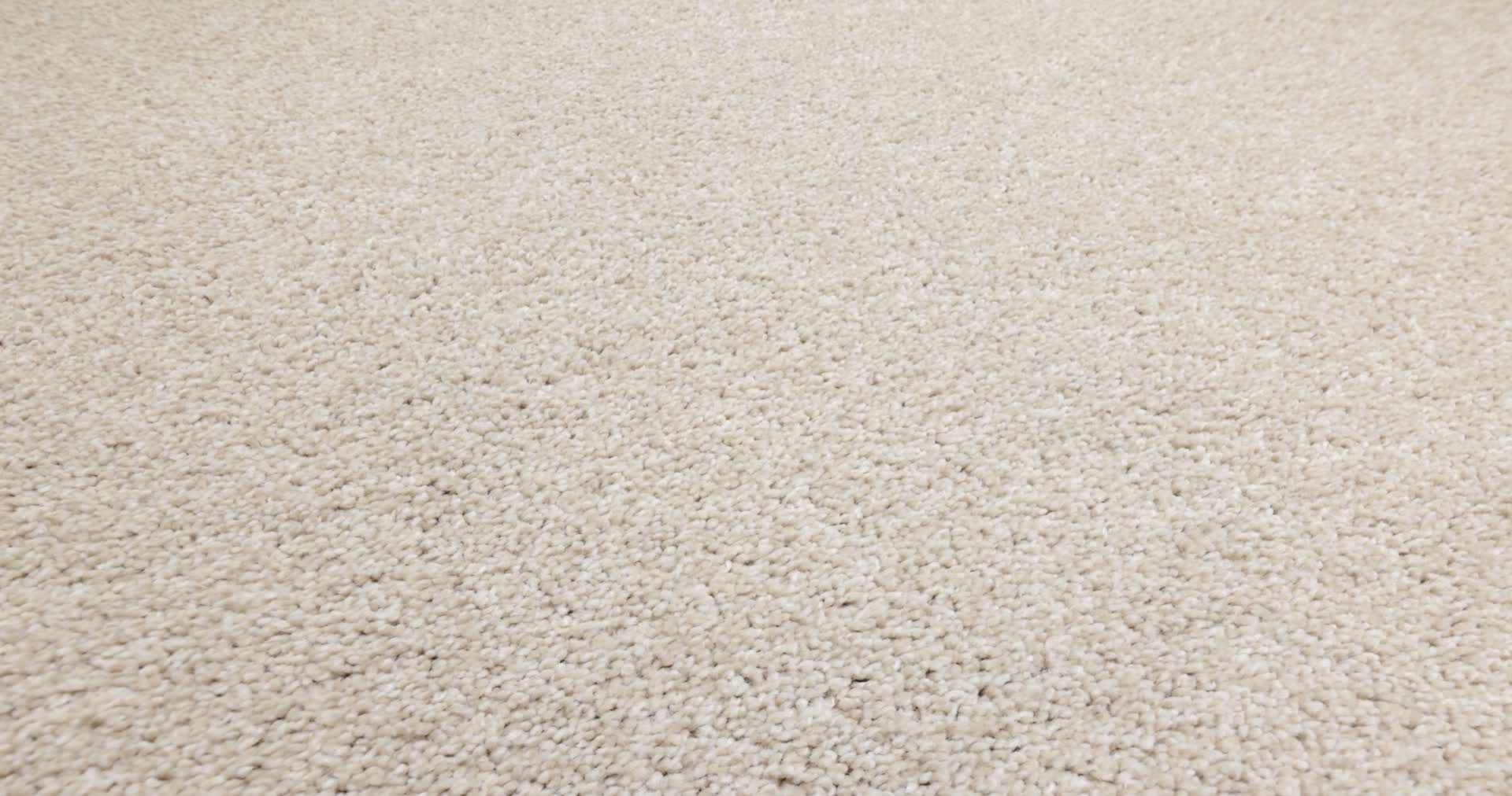 BEST YET SUGAR COOKIE 360PROD