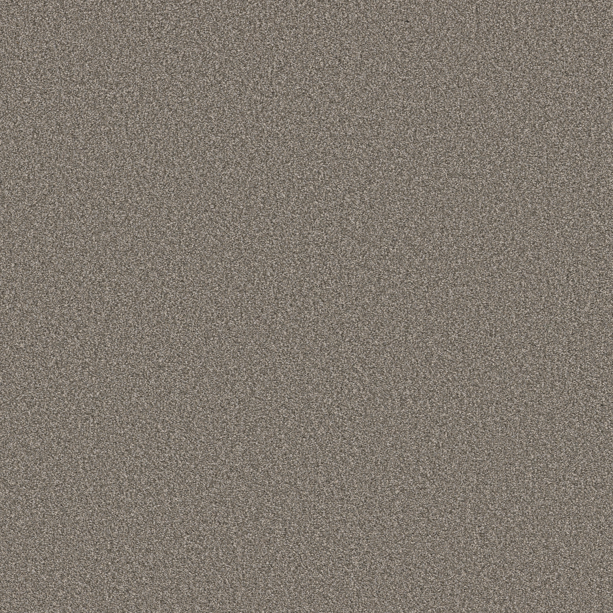 TWEED COMFORT I MARSH GRASS MAIN