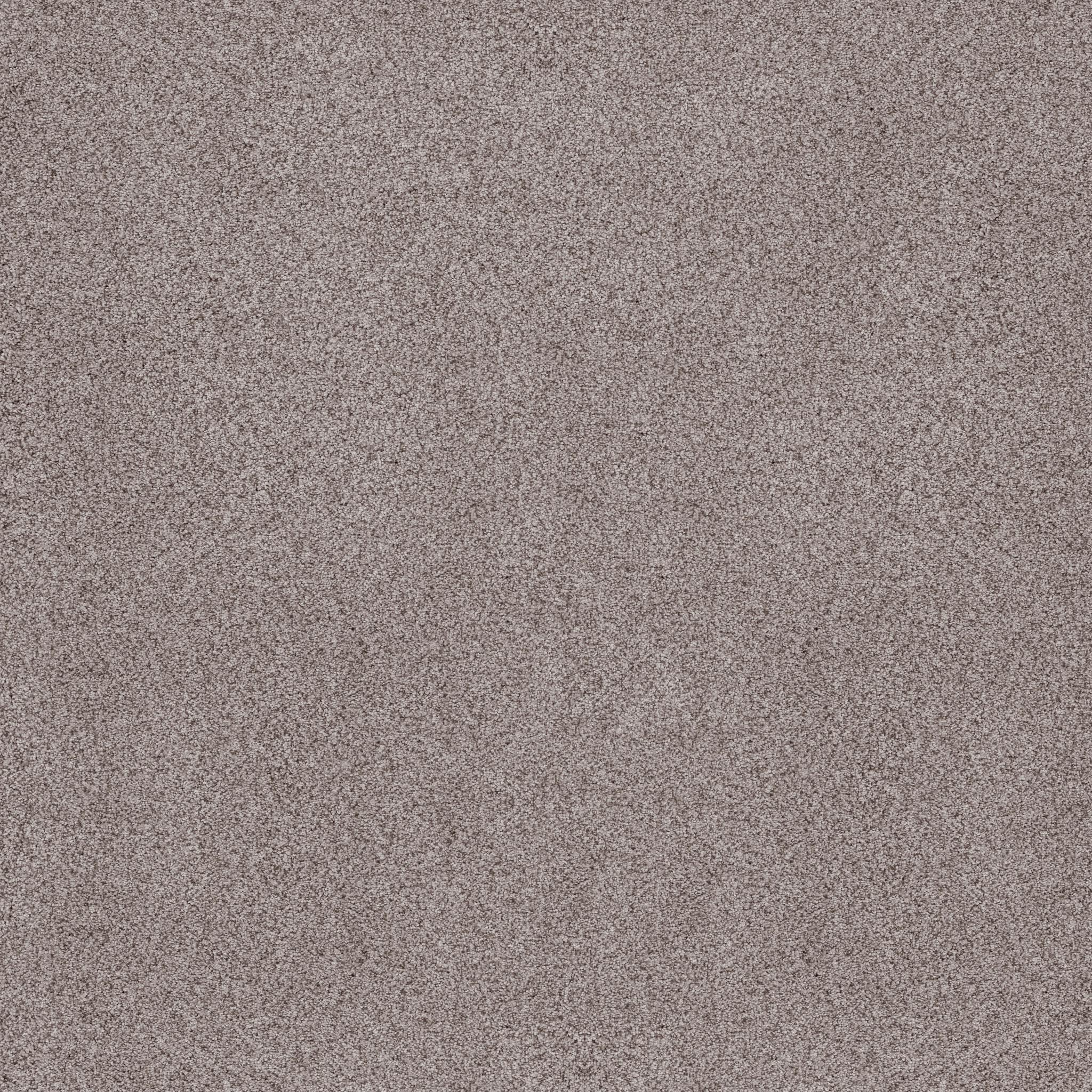 Sumptuous Ii in Rustic Gray
