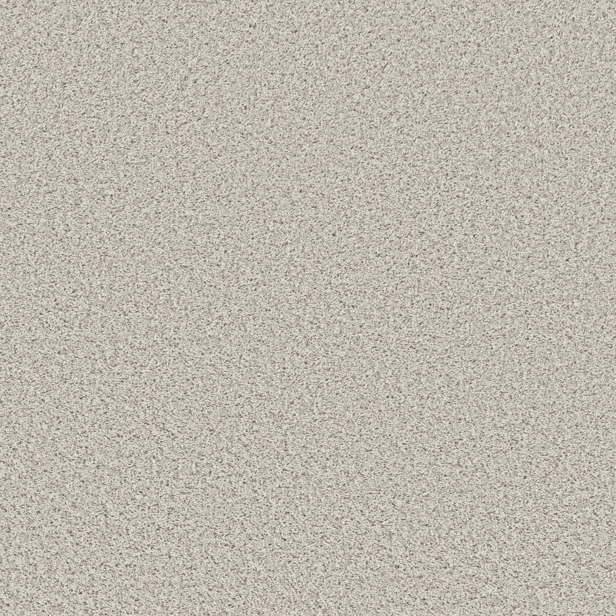 COOL FLAIR MAYFAIR MAIN