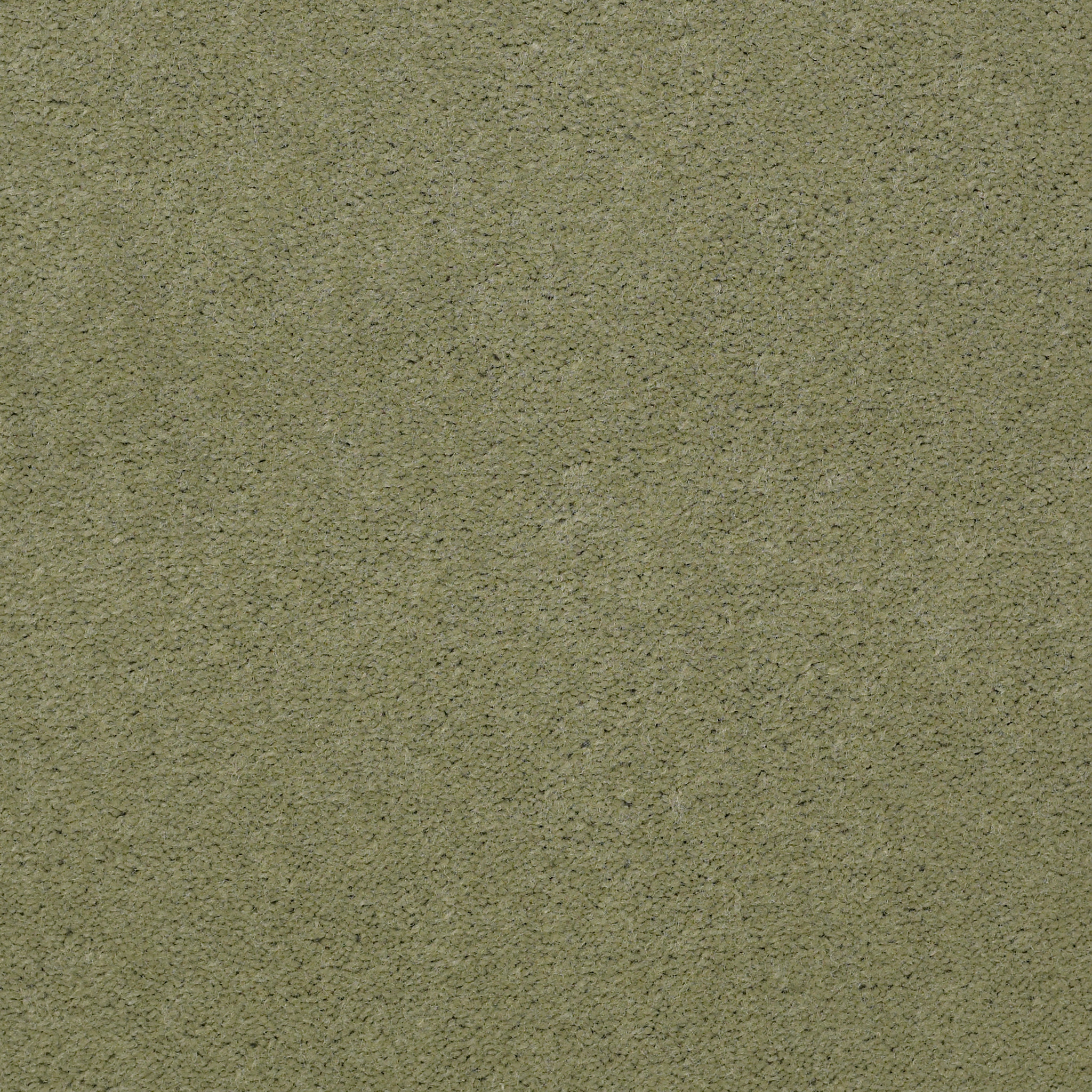 EMPHATIC-II-30-54255-ISLAND-GREEN-56370-main-image