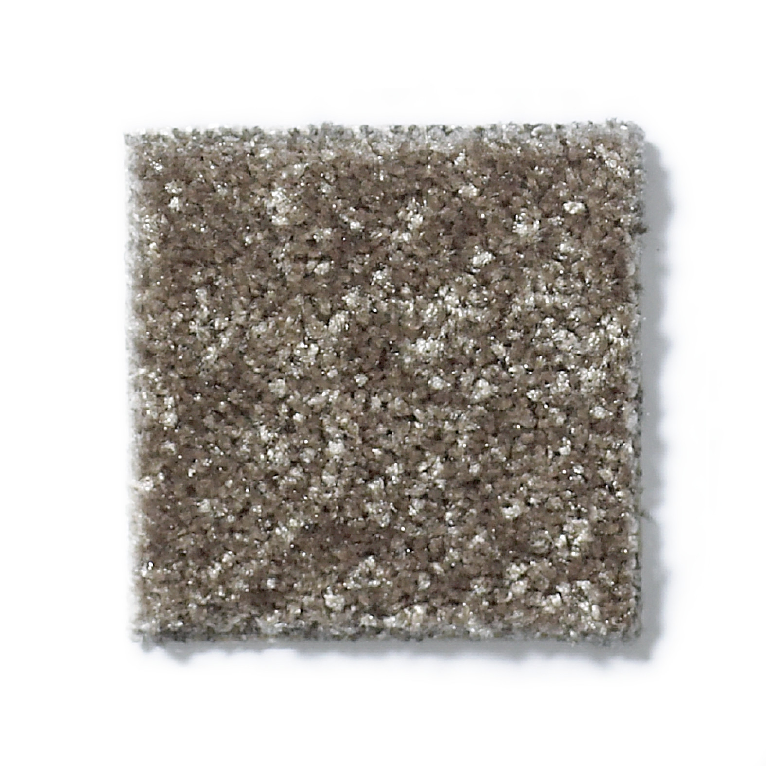 VICTORY BUNKHOUSE SWATCH