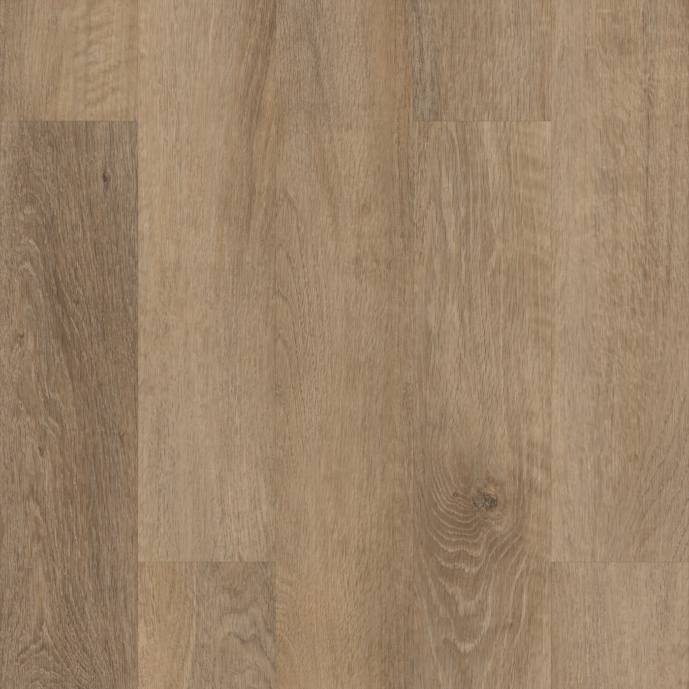 Brockport Oak, the manufacturer's video