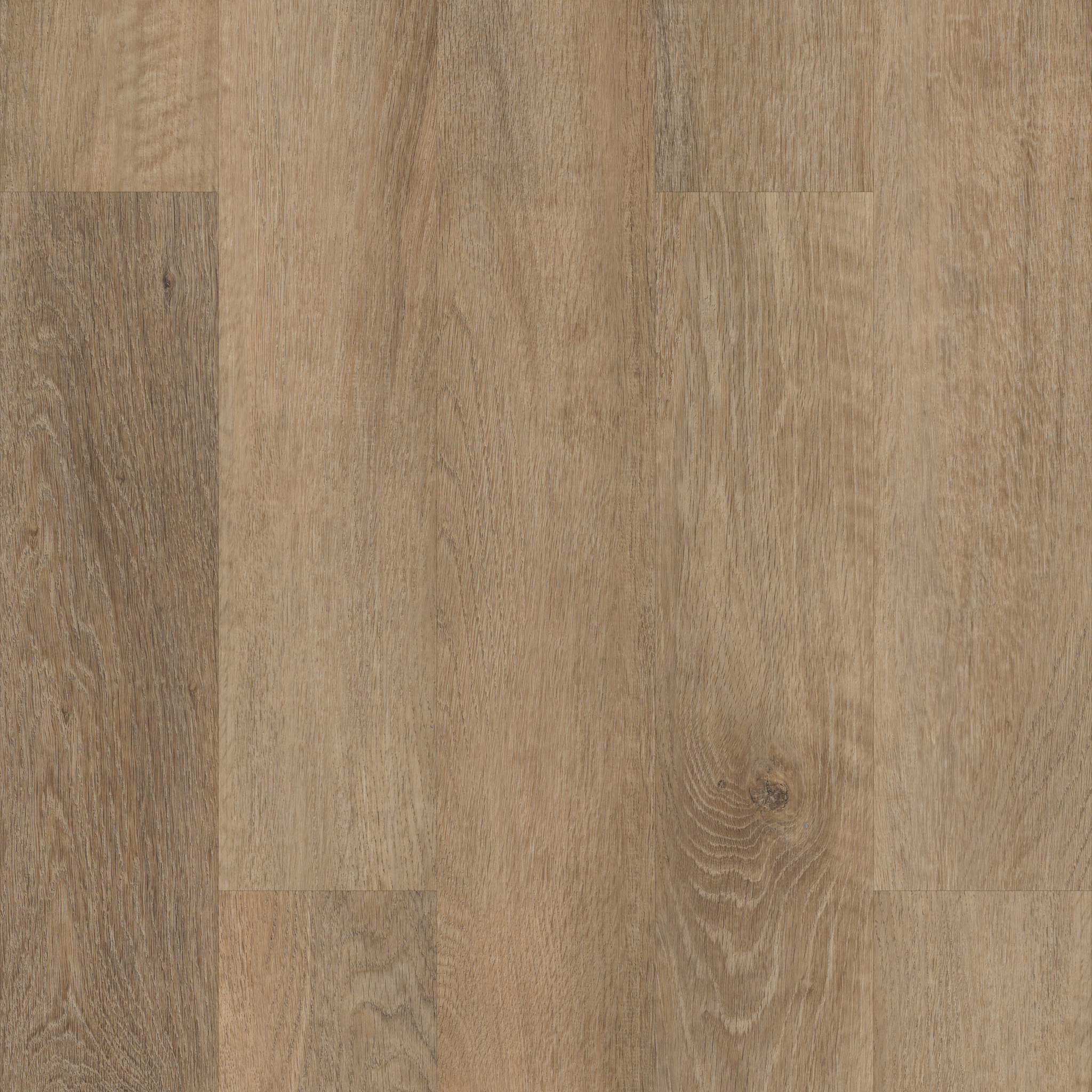 CORETEC ORIGINALS CLASSICS VV023 BROCKPORT OAK MAIN