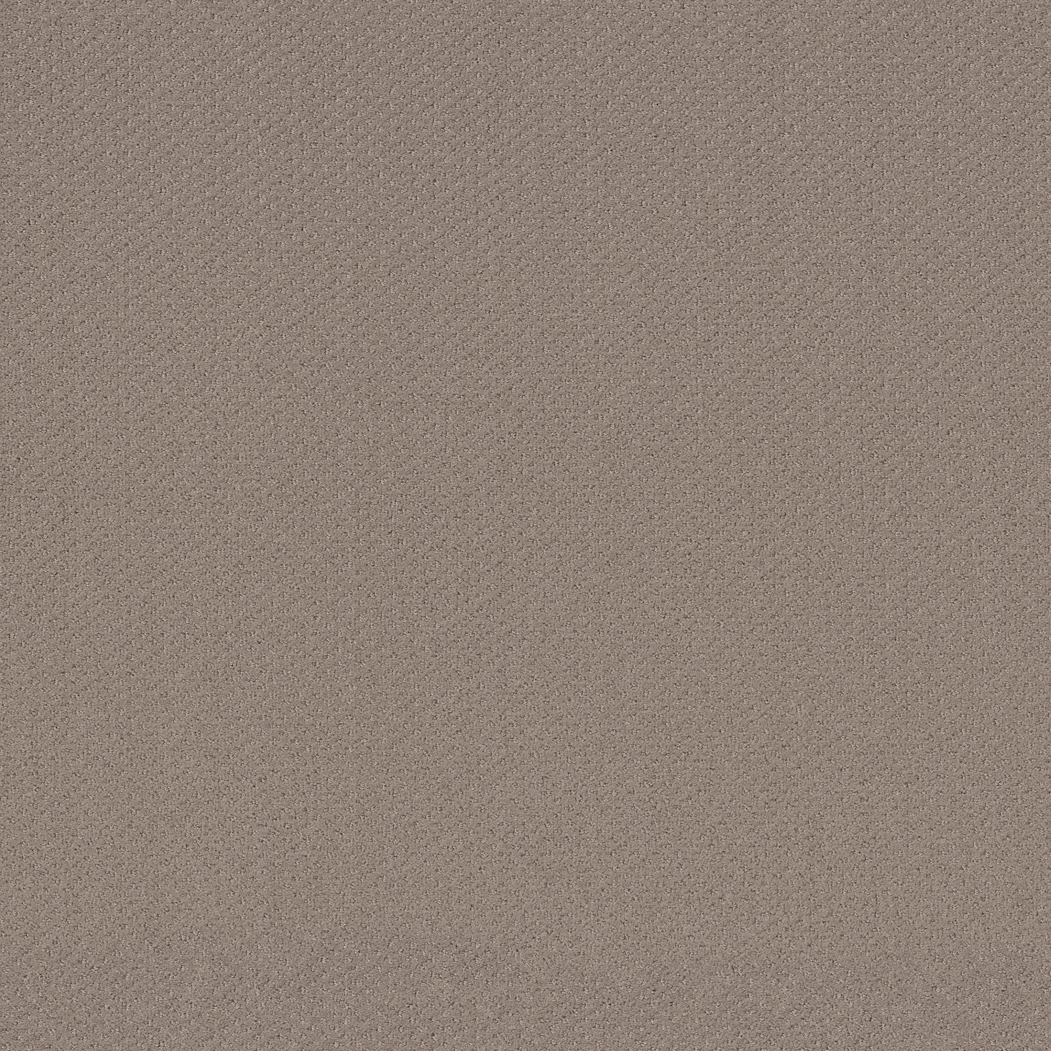 AUSTIN PARK OPEN CANYON MAIN