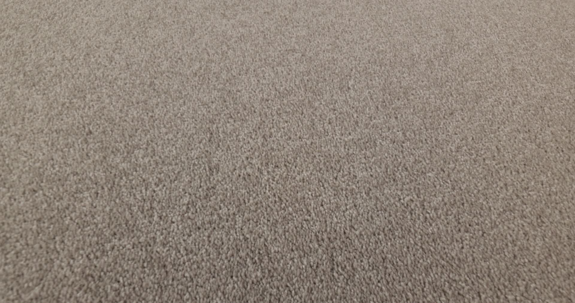 SOLIDIFY I 12' TREE BARK 360PROD