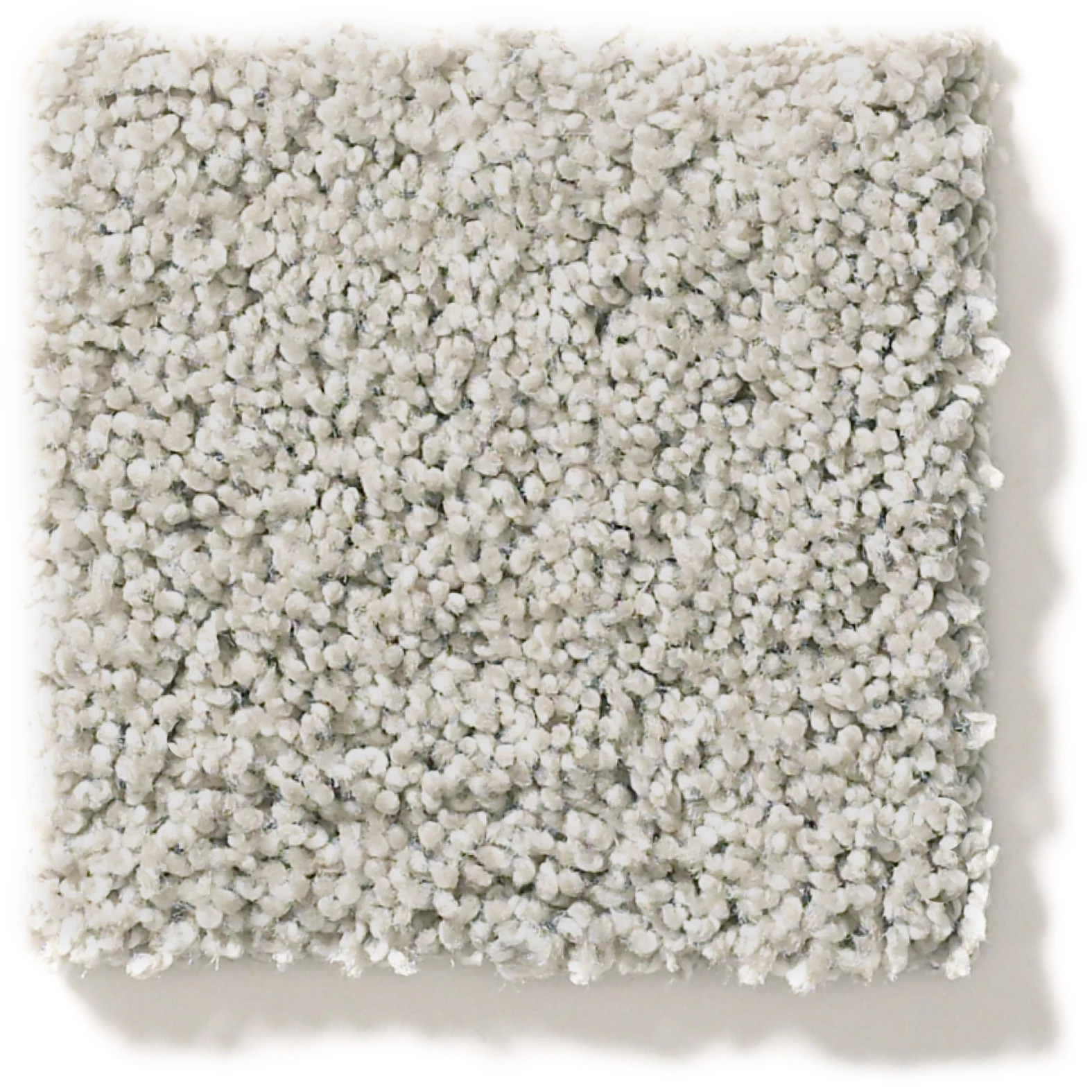 OCEAN VIEW SILVER SCREEN SWATCH