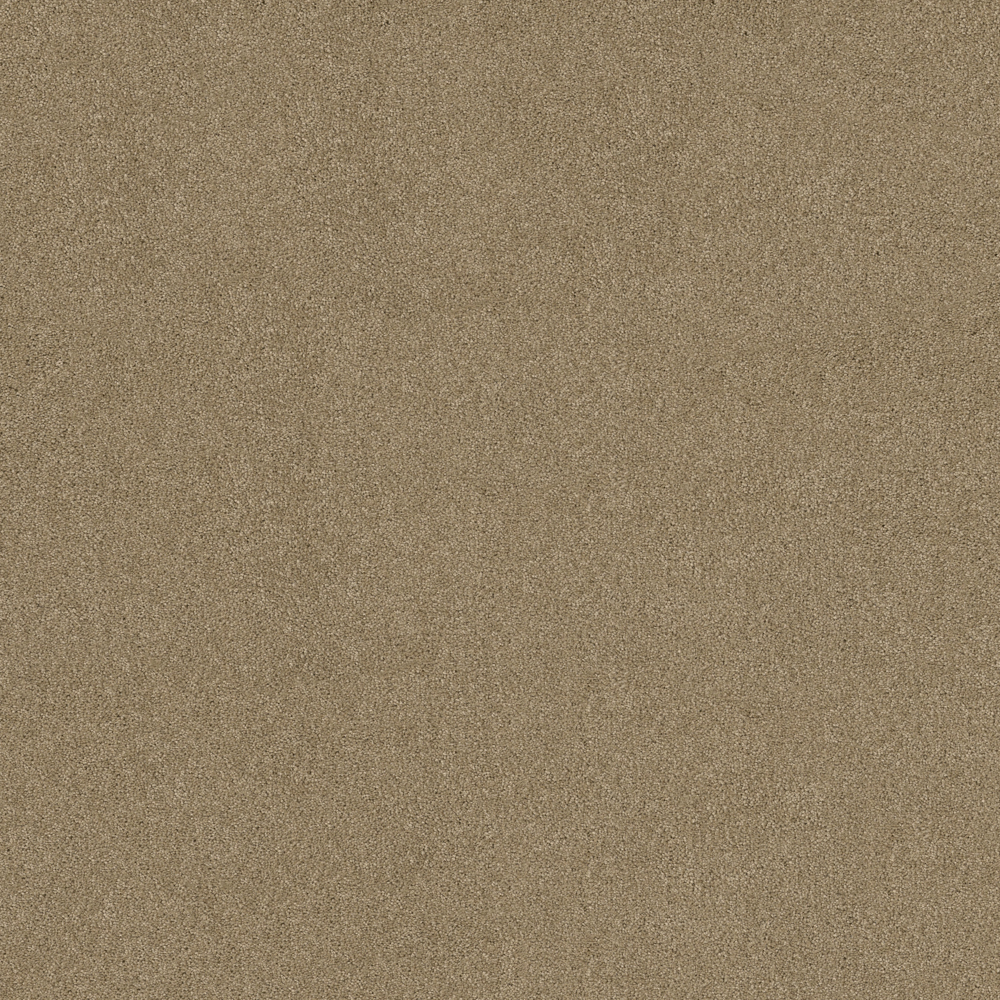 BEST BASICS PRAIRIE MAIN