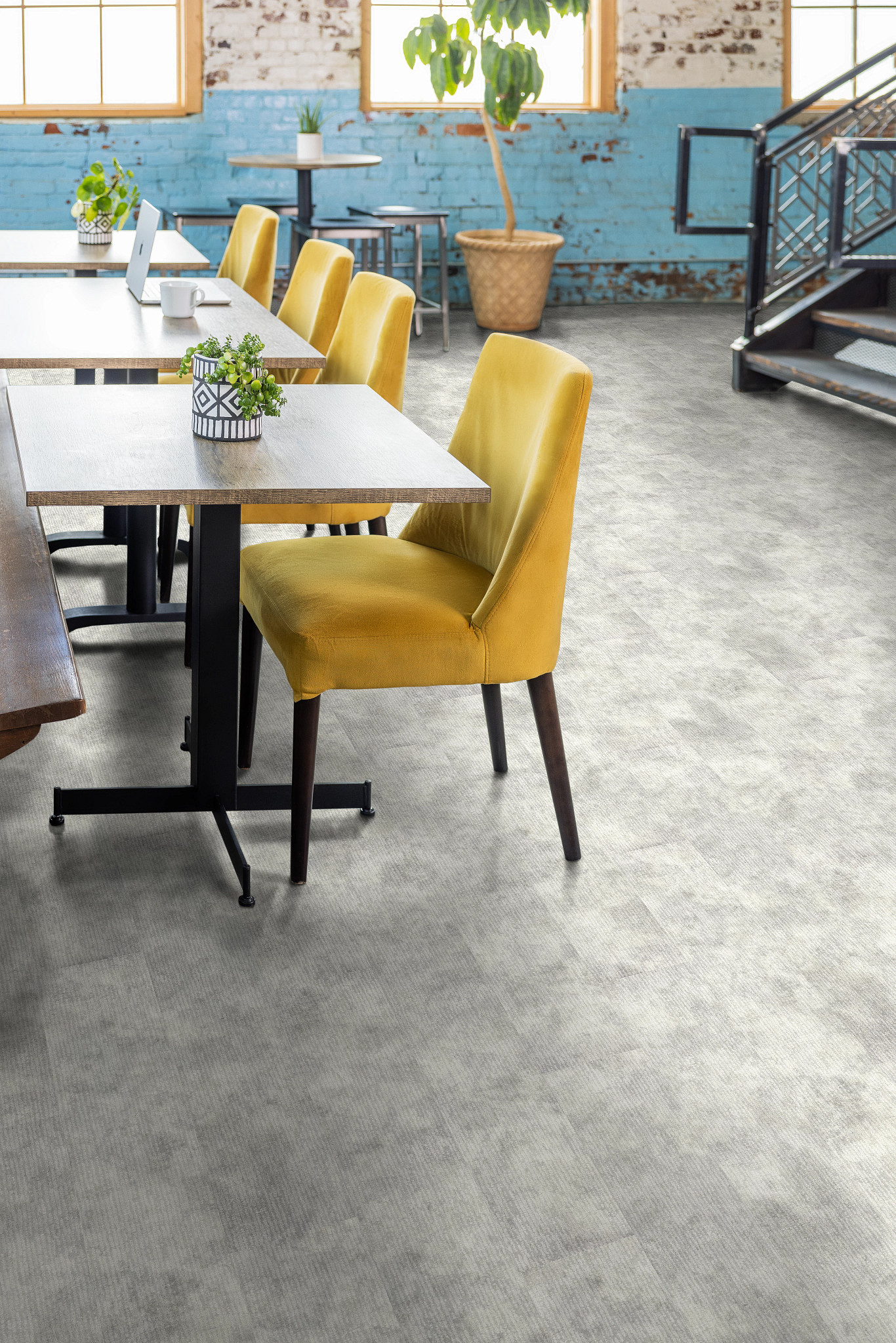 CODEX-5609V-MIRAGE-05178-room-image