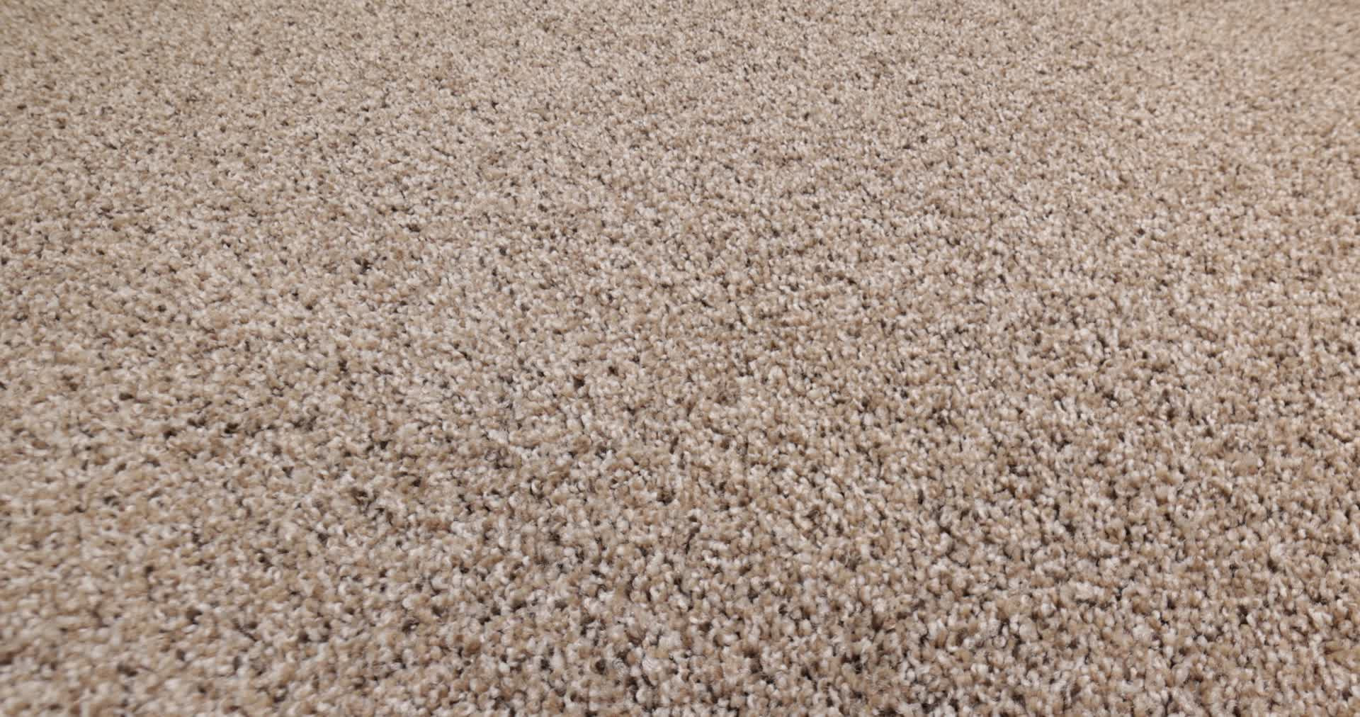 STRANDS OF NATURE III ARROWHEAD 360PROD