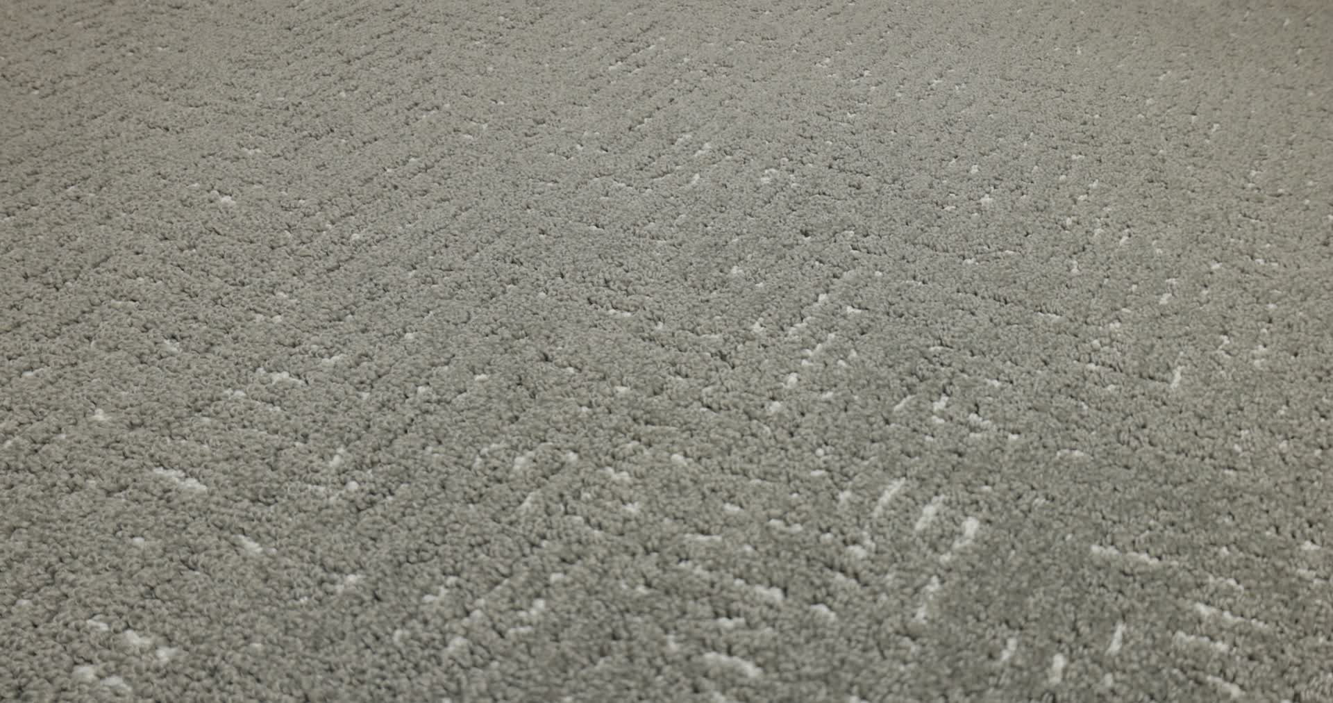 FAVOURED PATH ASHES 360PROD