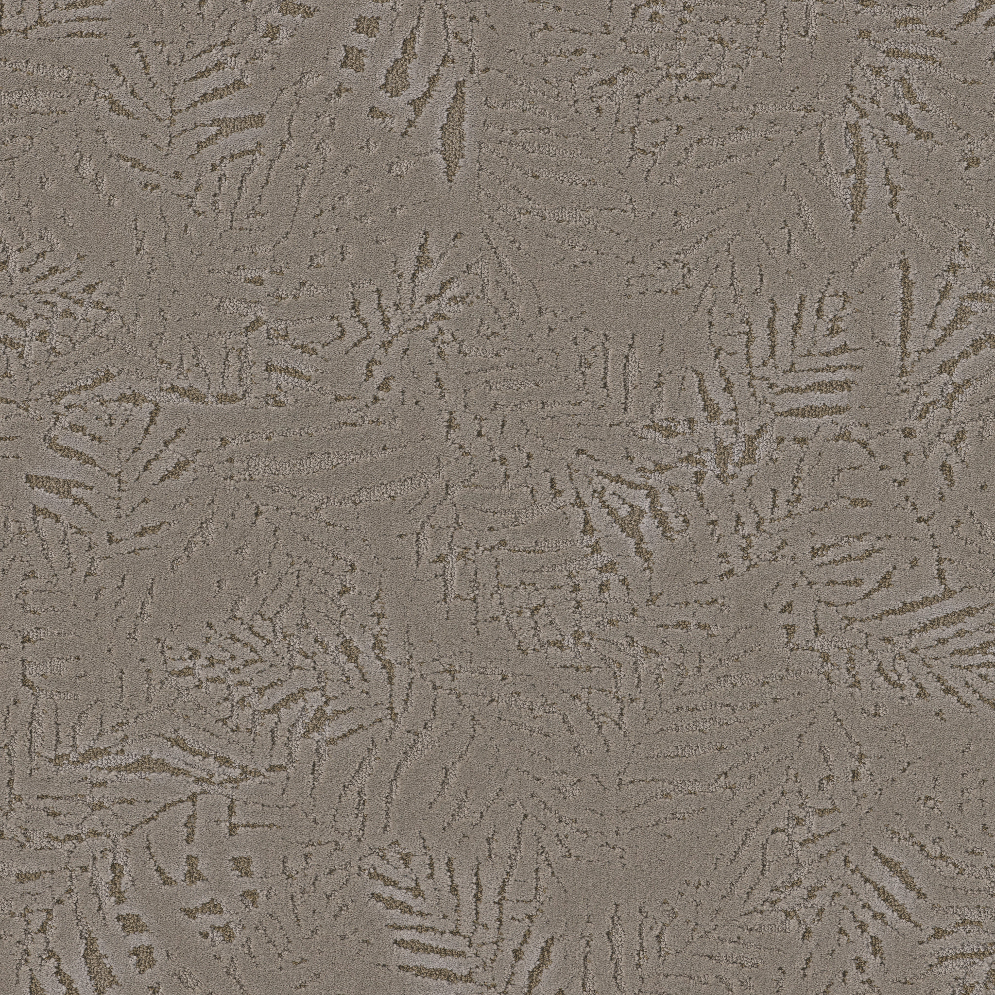 AUTOGRAPH CLASS ACT MAIN