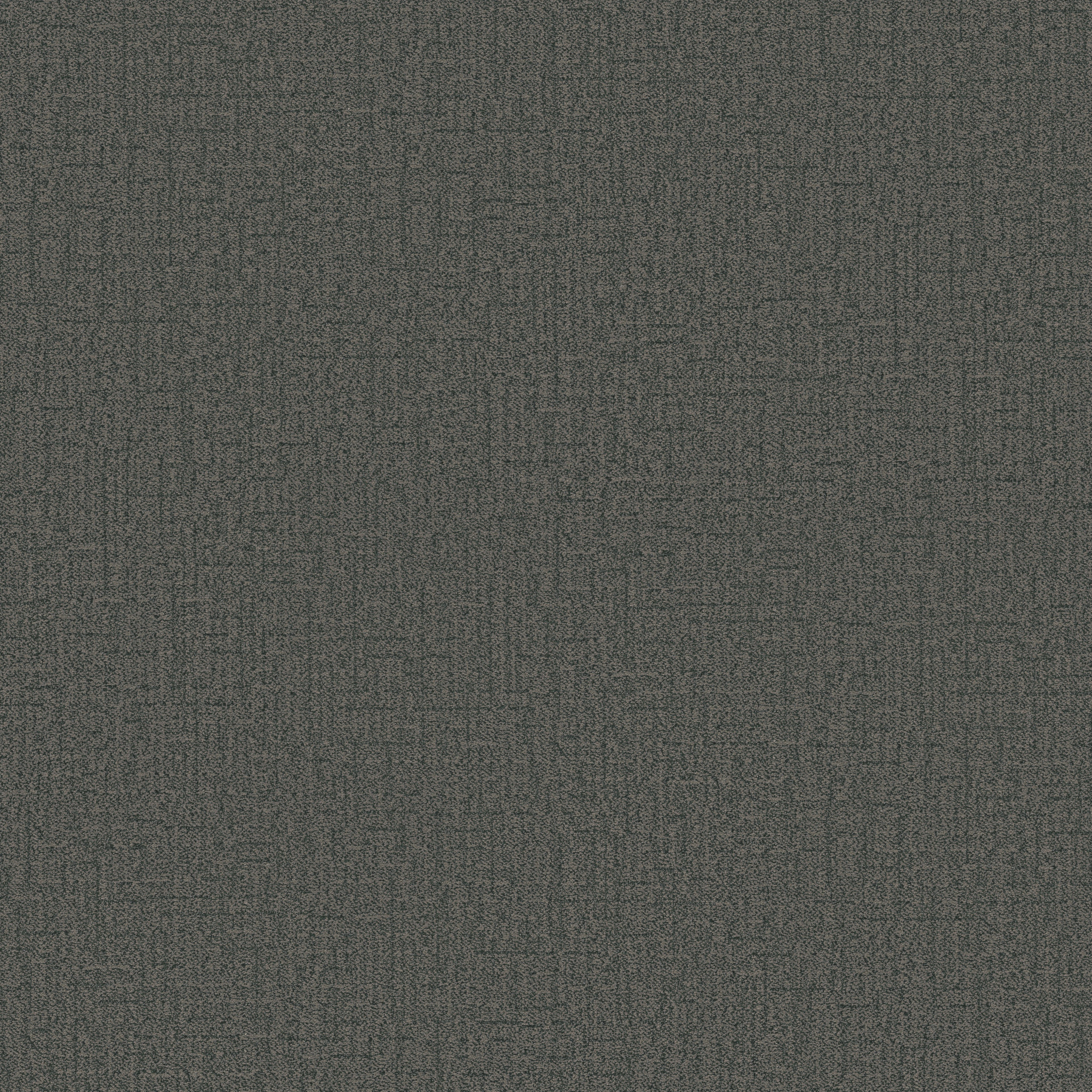 SILHOUETTE PEACOCK MAIN