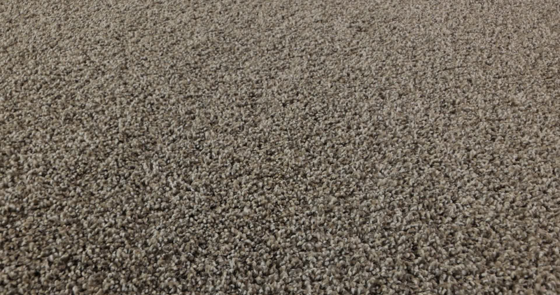 TENACIOUS WIN NUTRIA 360PROD