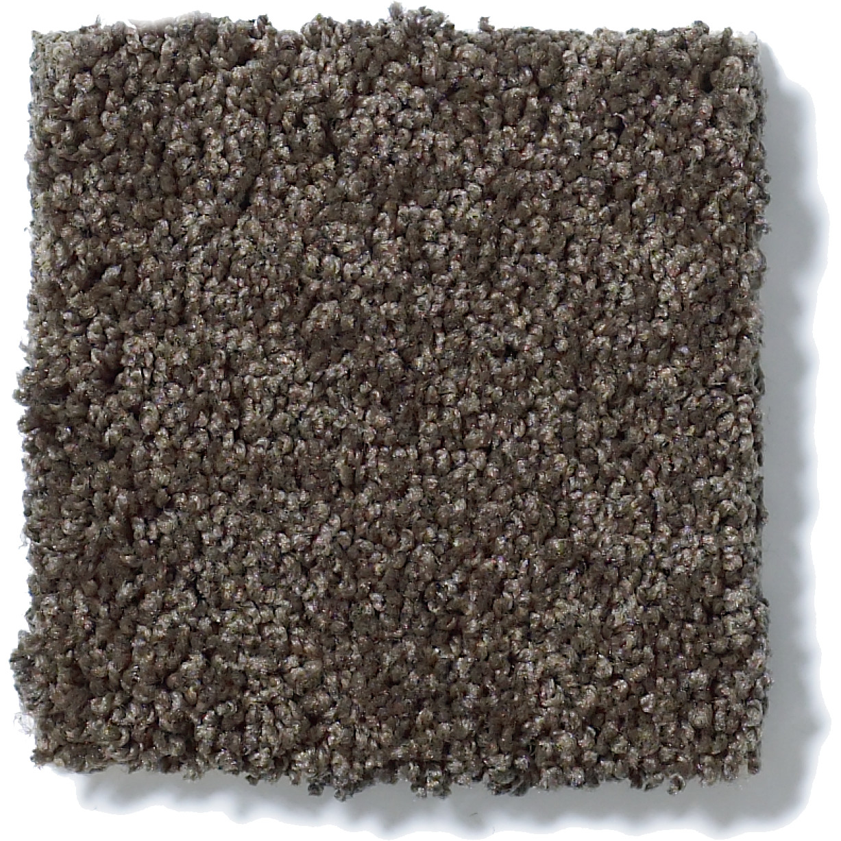 MY CHOICE II CHOCOLATE SWATCH